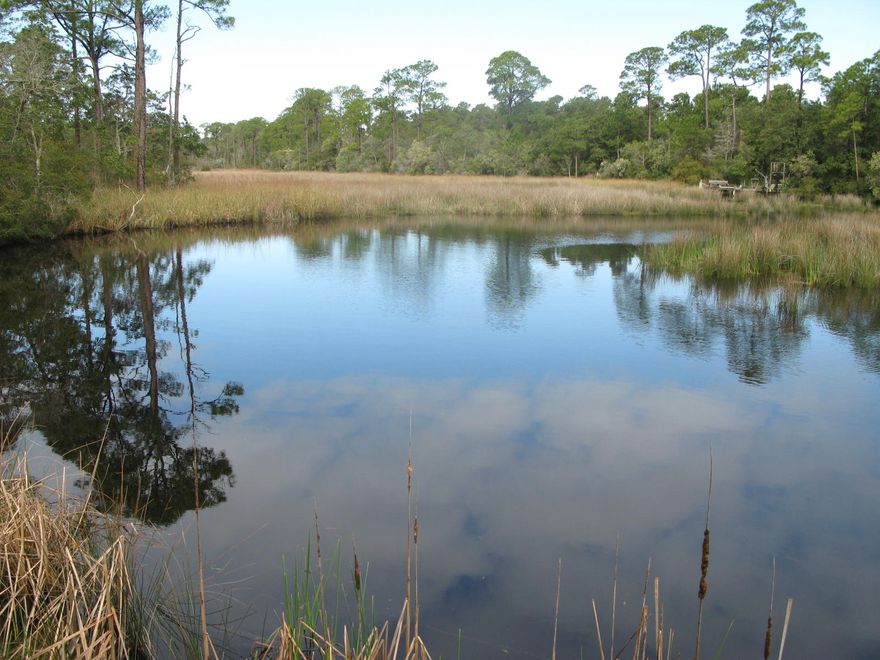 Nice lot with pine trees in Lakeside at Inlet Beach HOA, lots in this subdivision are larger than most other subdivisions, gated entrance, gated pool, boardwalk and dock on Lake Powell for all lot owners use. Seller is a licensed Florida real estate broker.