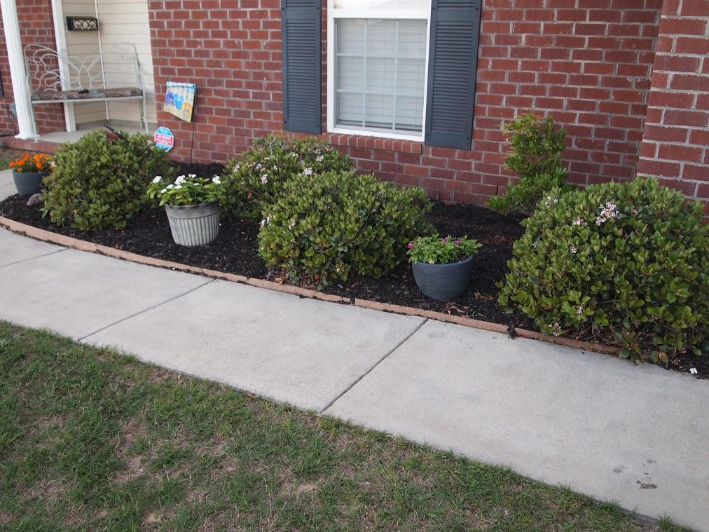 LEE FARMS PH II - Residential