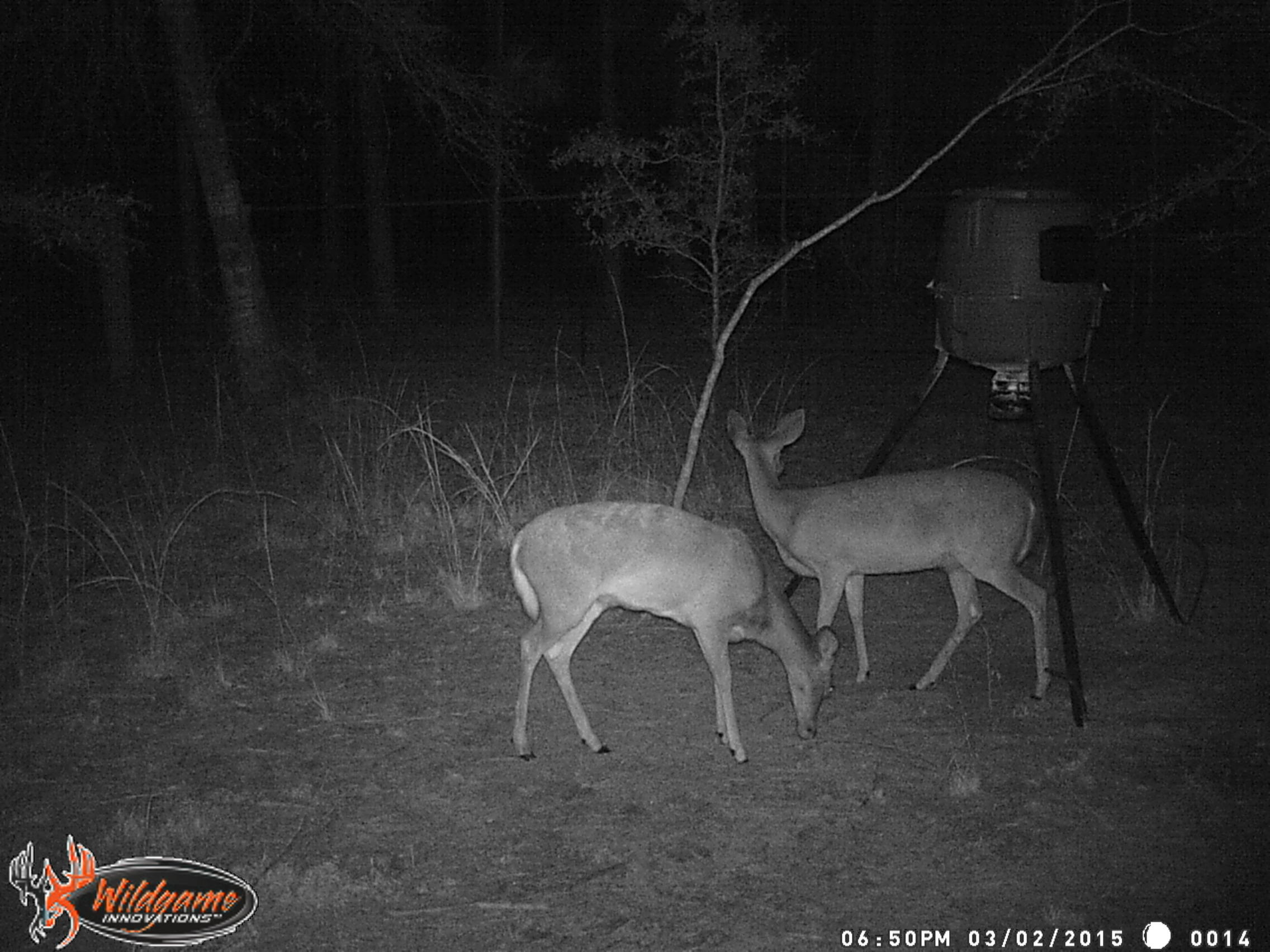 Huckaba Rd - Residential