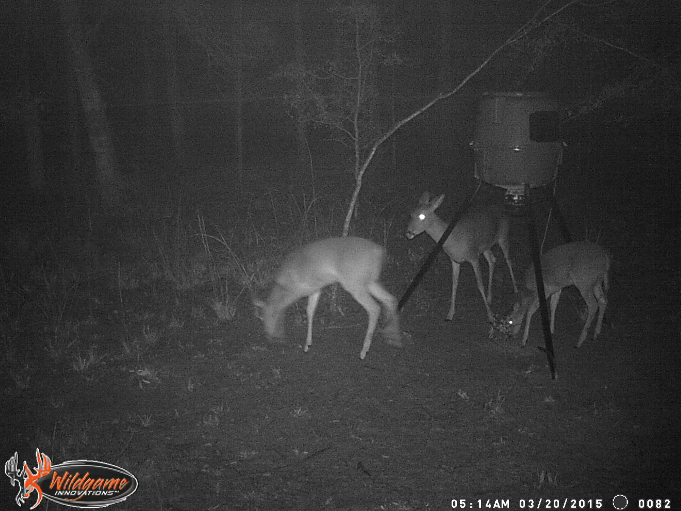 Huckaba Rd - Residential