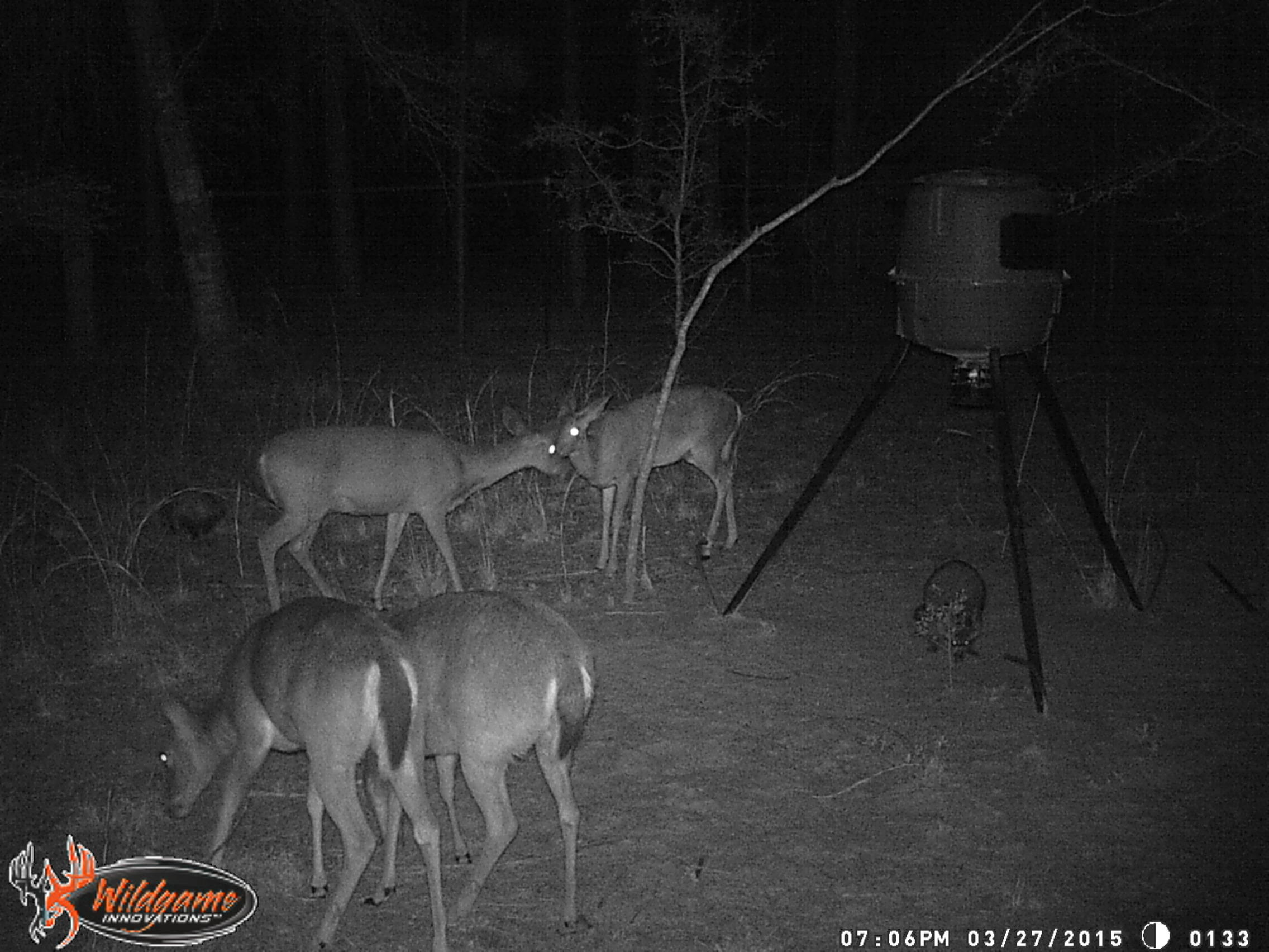 Huckaba Rd - Residential