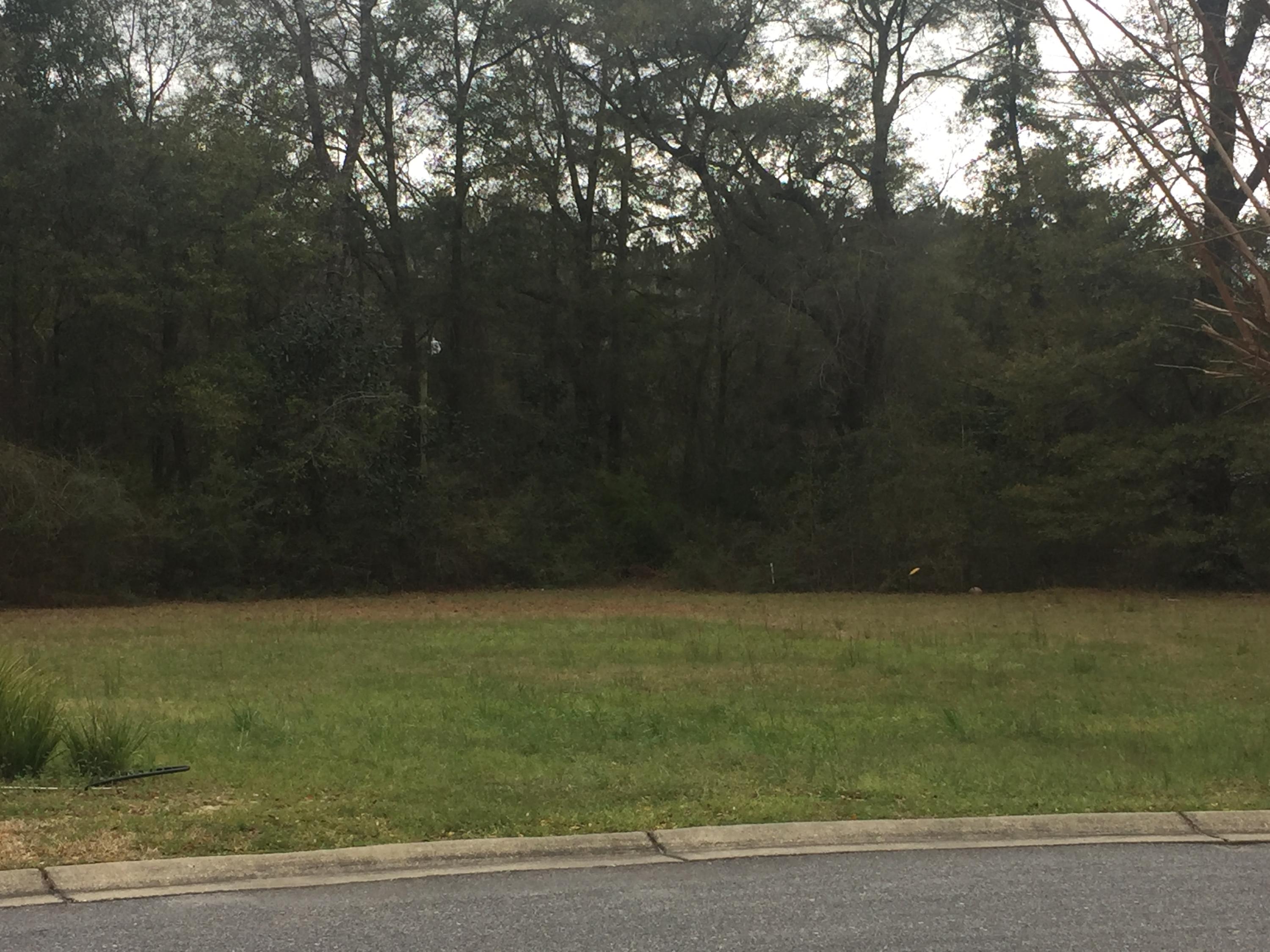 CLAIRES VINEYARD - Land