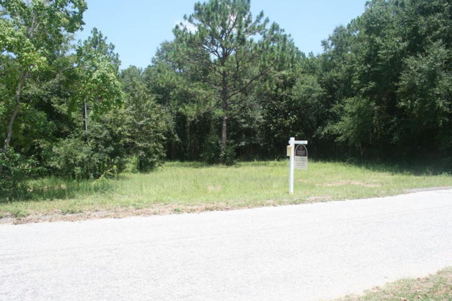 Three quarters of an acre close to everything in the heart of Crestview. Some utilities are available on site including public water, septic tank (unsure of the state of the septic tank), gas, electric, & cable are also available on Williams Ave. The property formerly contained 3 mobile homes, all of which have been removed from the property.
