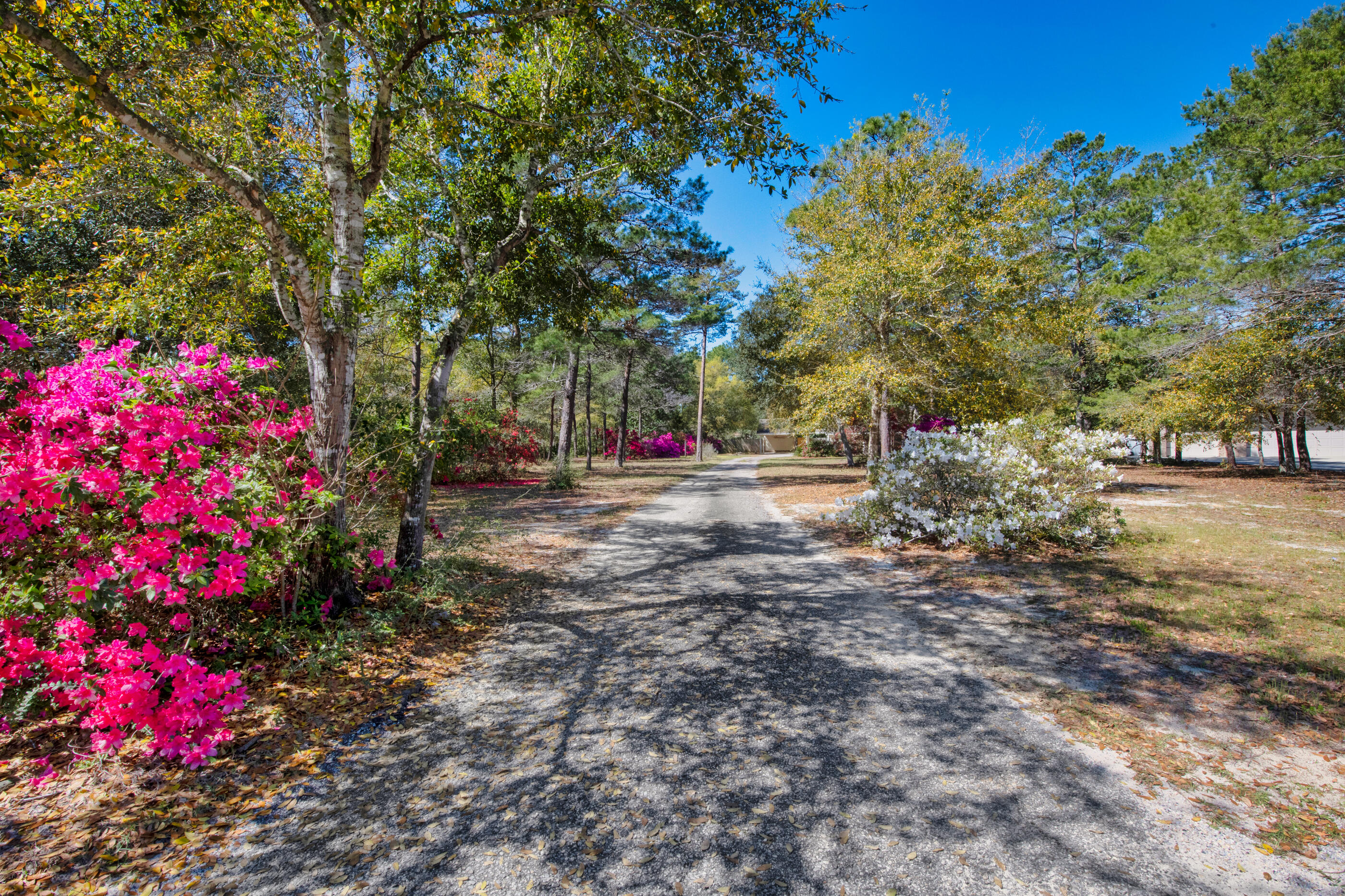 ROBLEDAL ESTATES - Residential