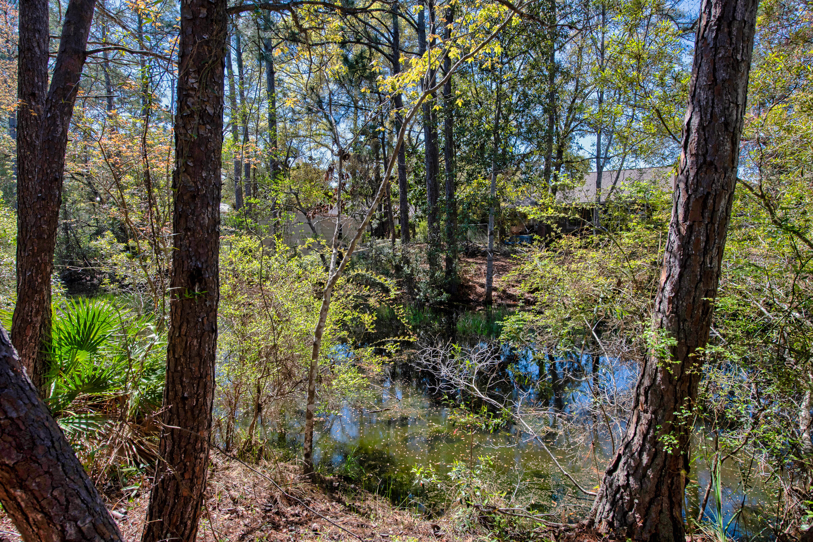 ROBLEDAL ESTATES - Residential