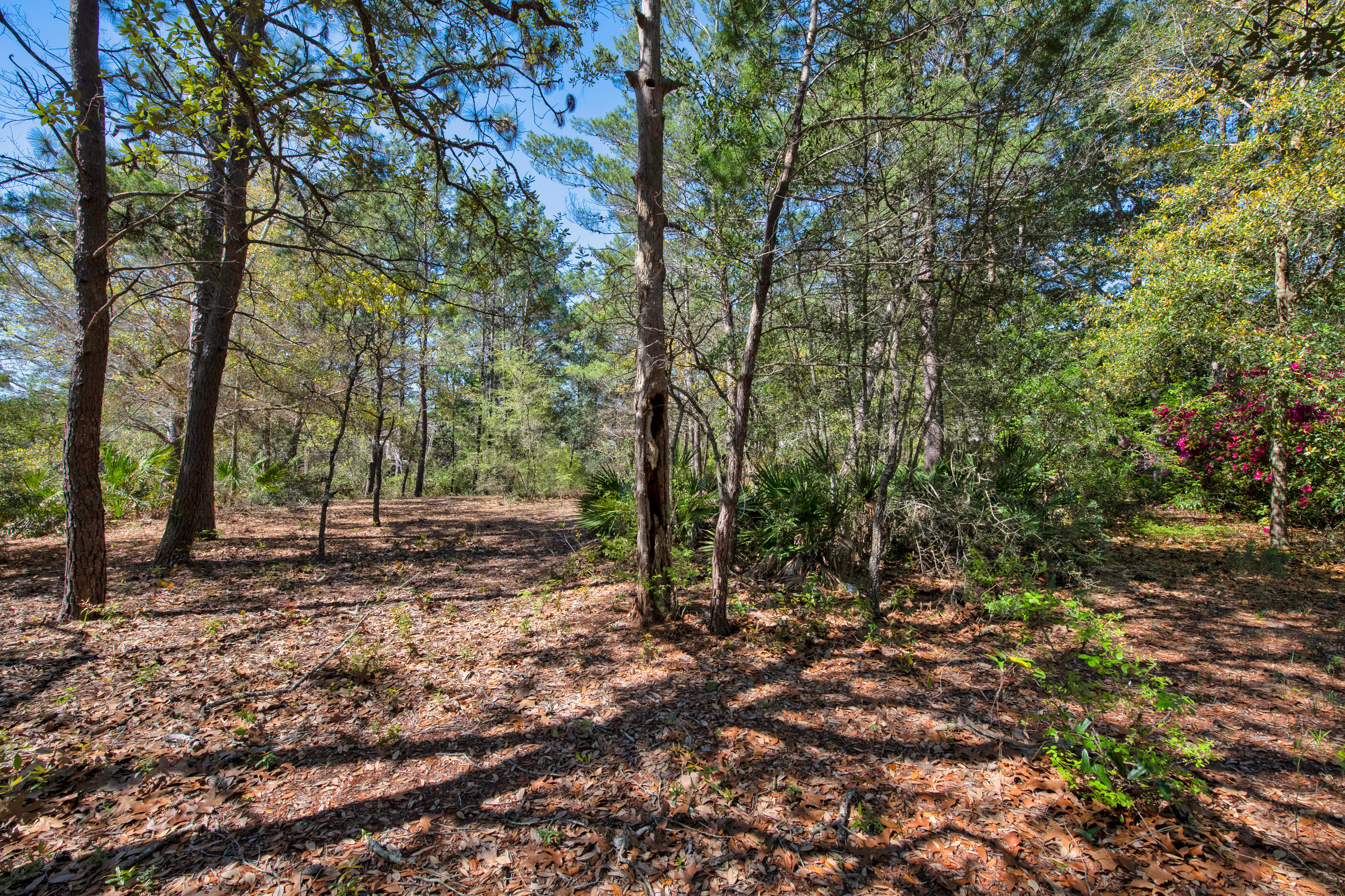 ROBLEDAL ESTATES - Residential