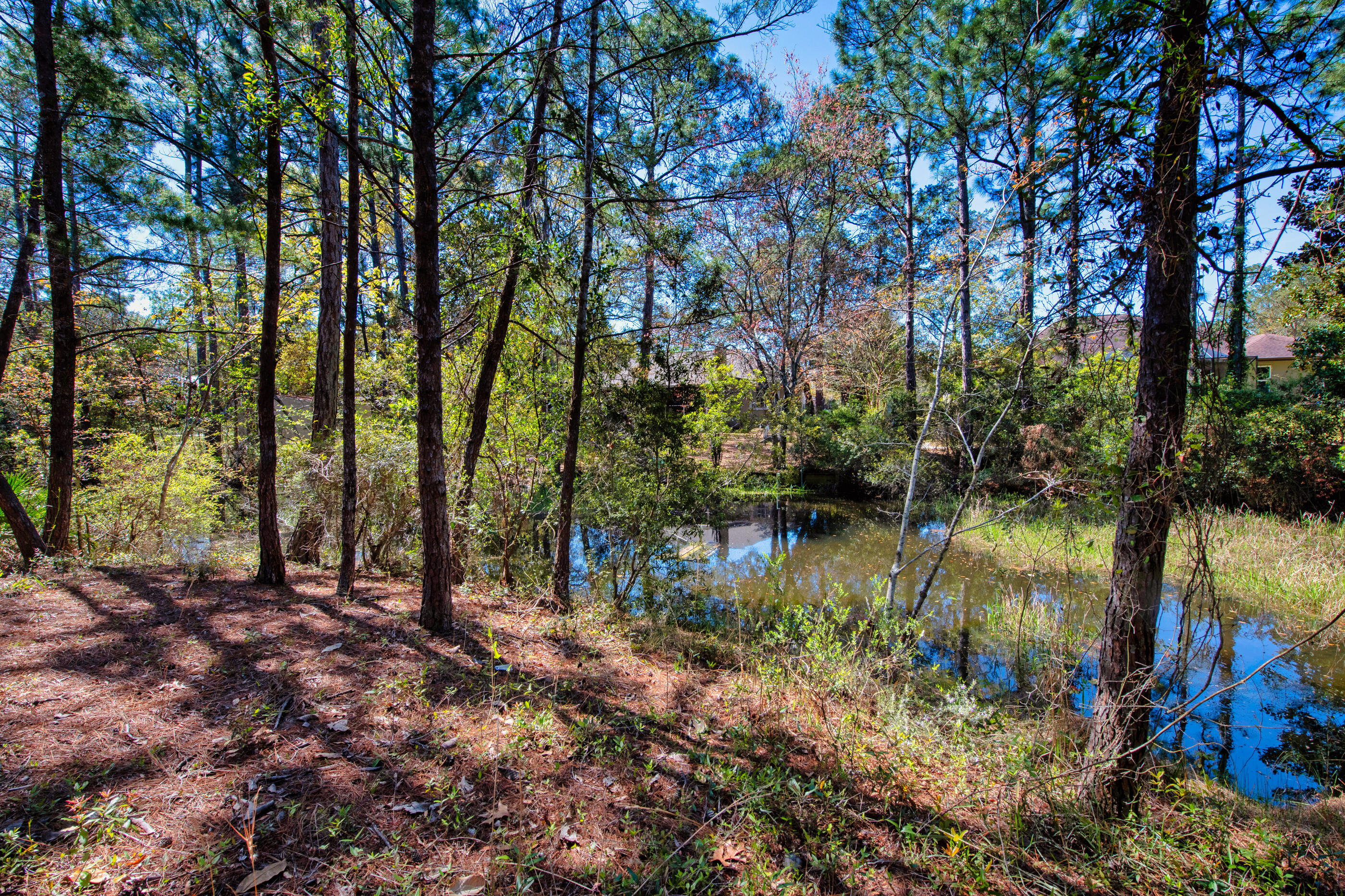 ROBLEDAL ESTATES - Residential