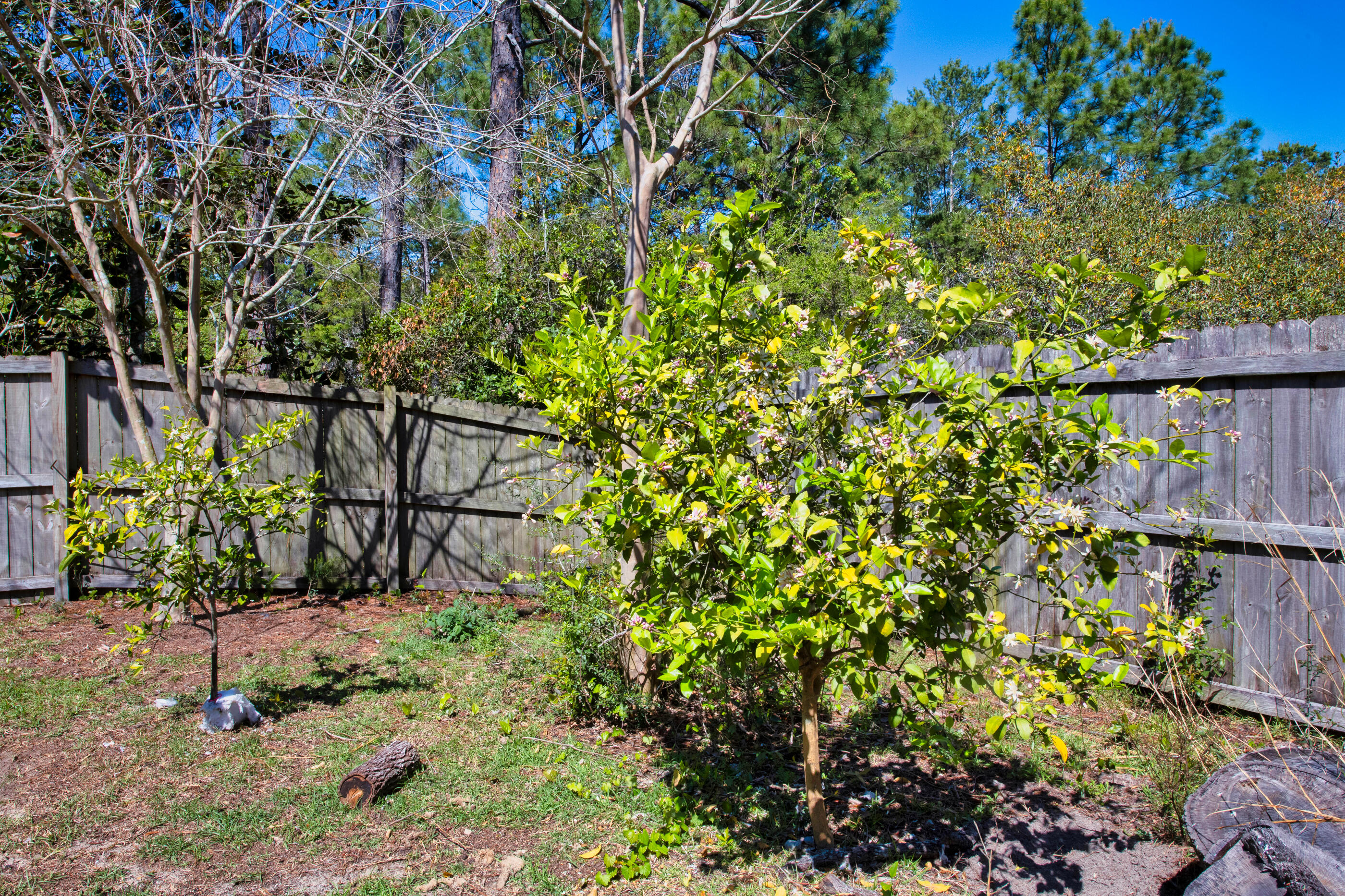 ROBLEDAL ESTATES - Residential