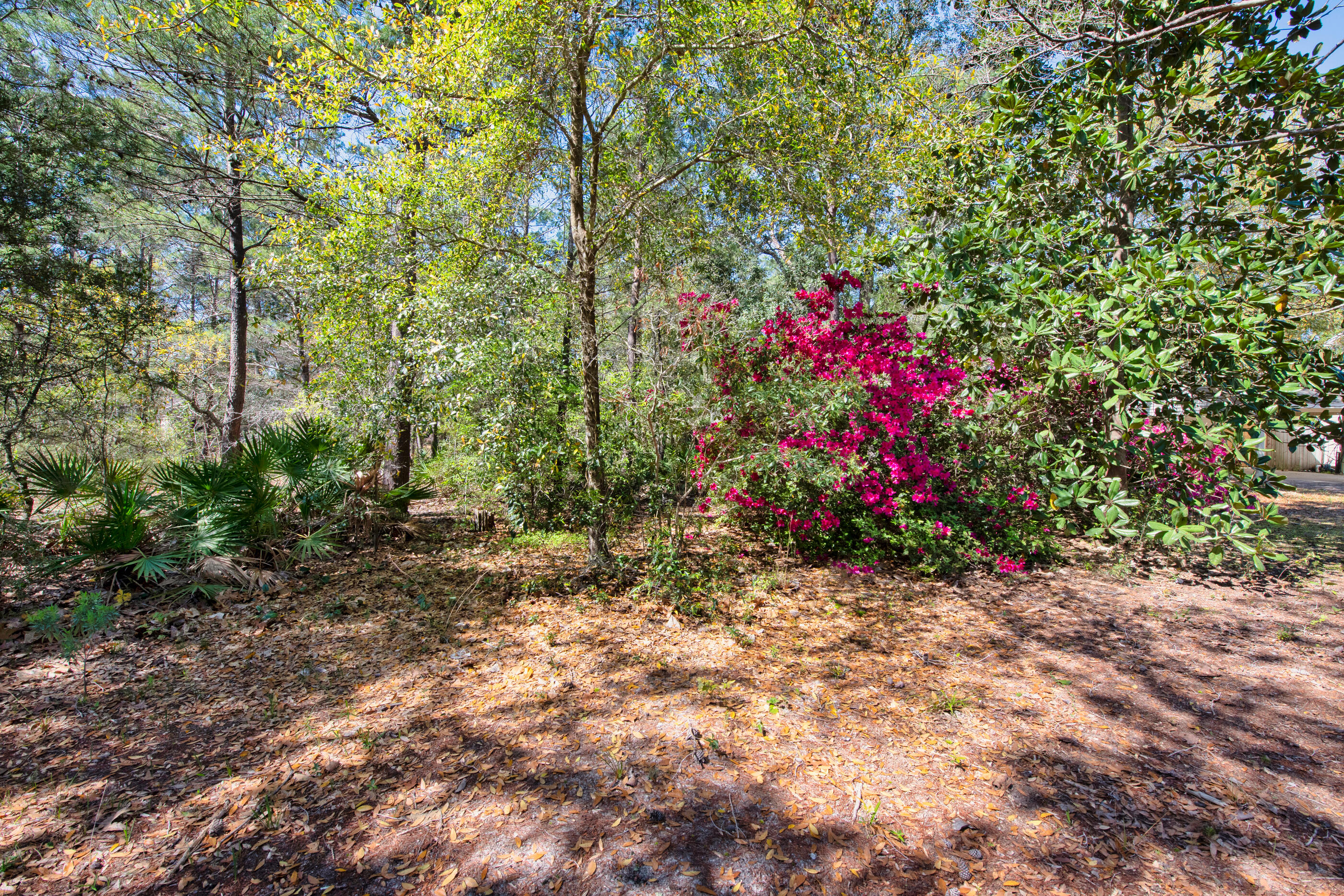 ROBLEDAL ESTATES - Residential