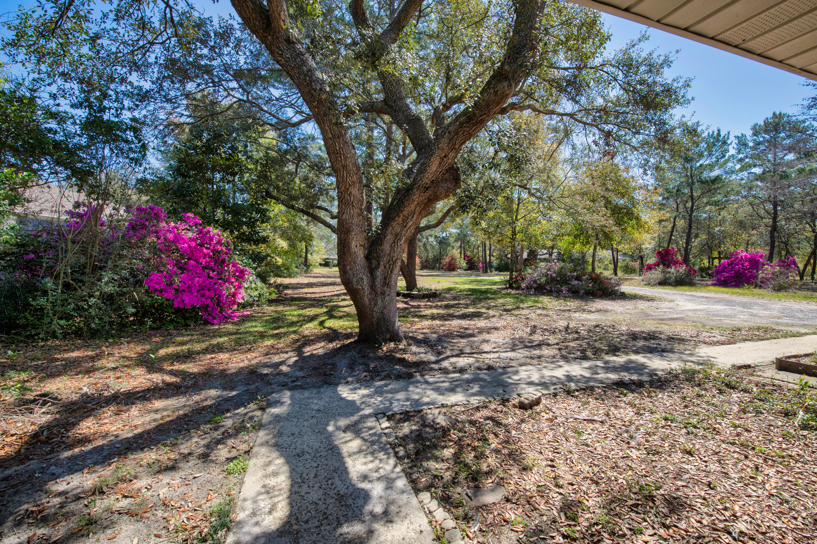 ROBLEDAL ESTATES - Residential