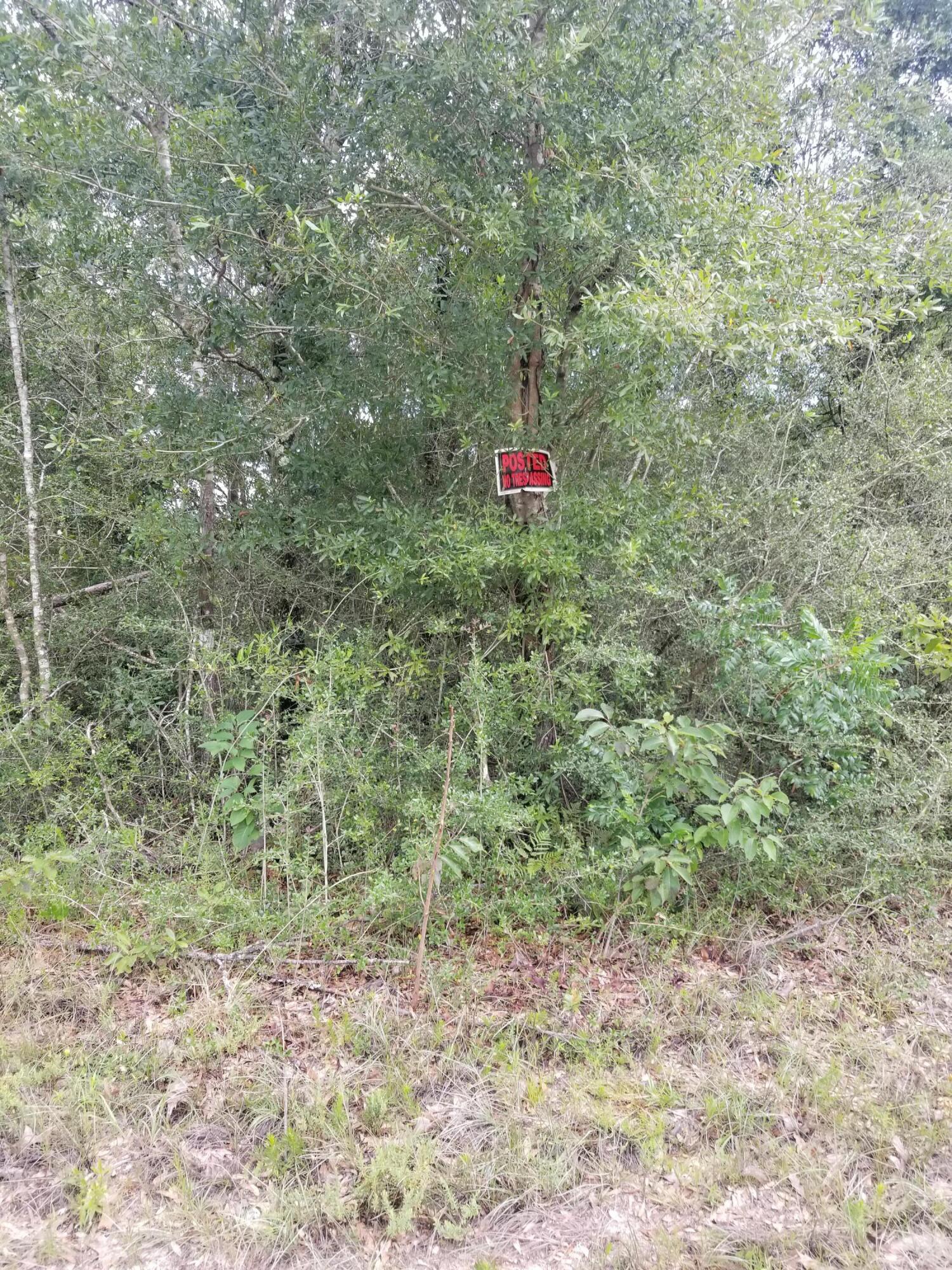 Oakwood Hills - Land