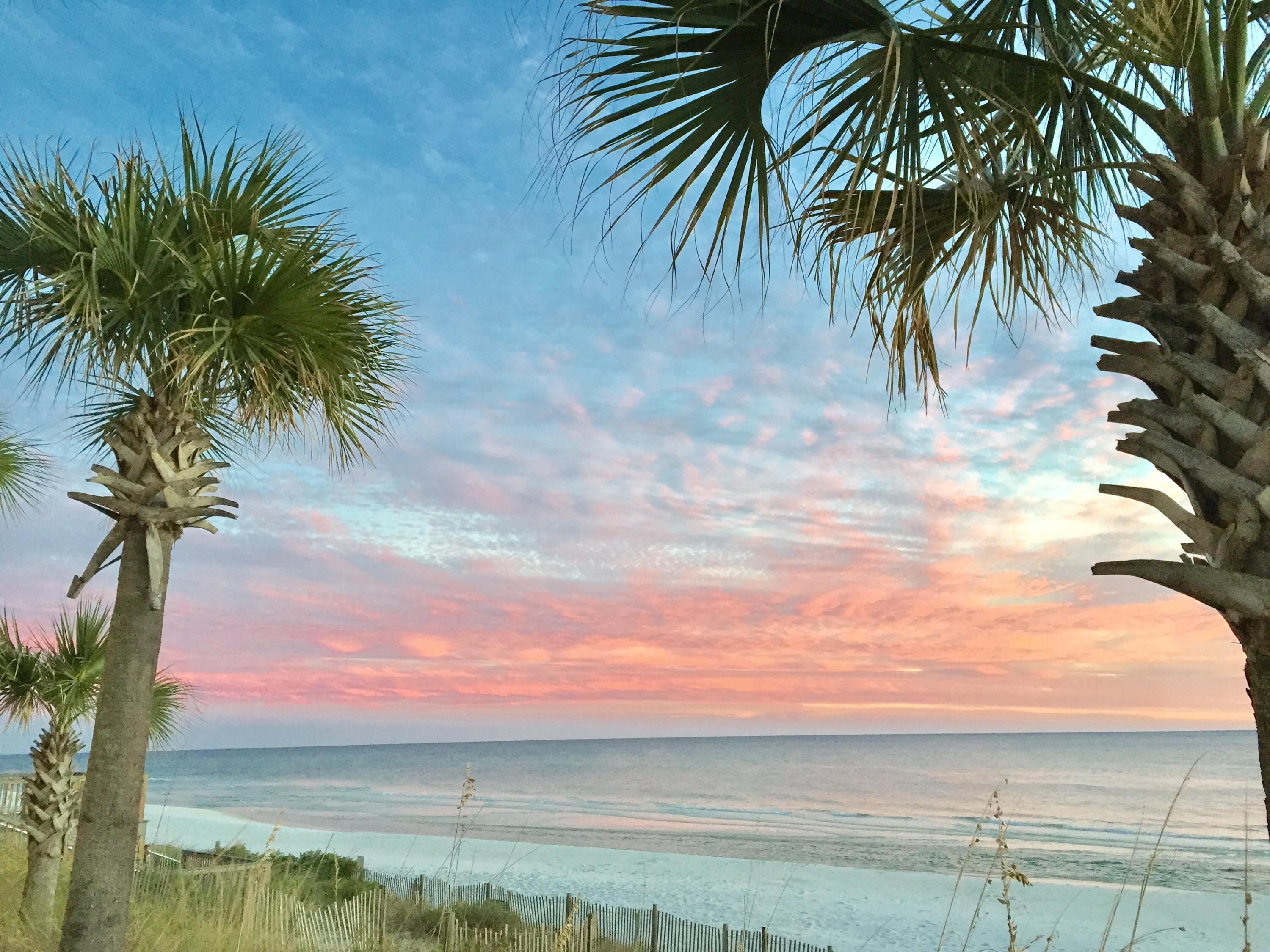 PALAZZO CONDOMINIUM - Residential