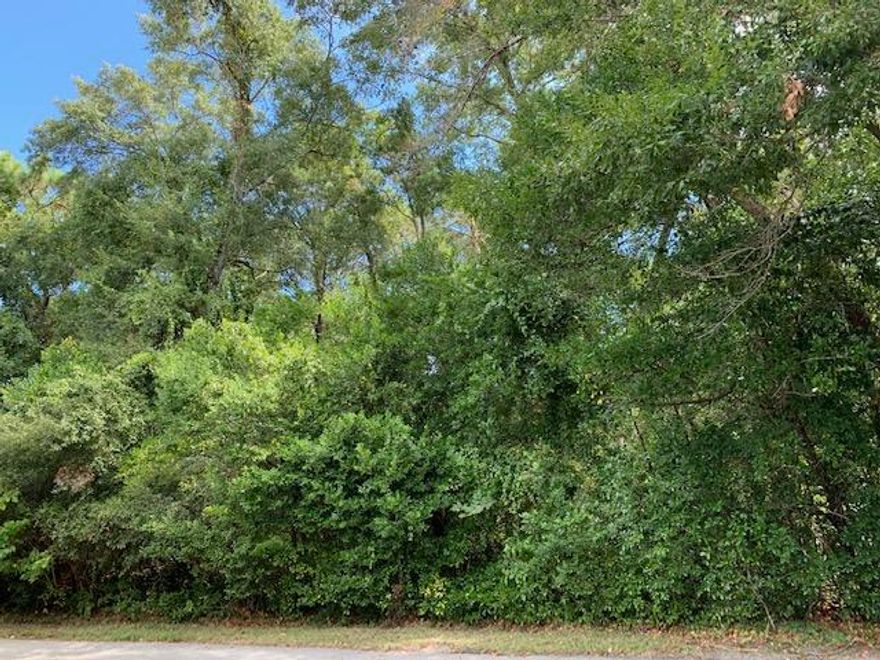 Beautiful level wooded 5 acre lot close to highway 90. Build your dream home or private hideaway on this nice acreage. Acreage is fronted on 3 sides by road. Buyer to verify anything deemed important including, but not limited to, lot size, etc