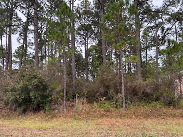 HOLLEY BY THE SEA - Land