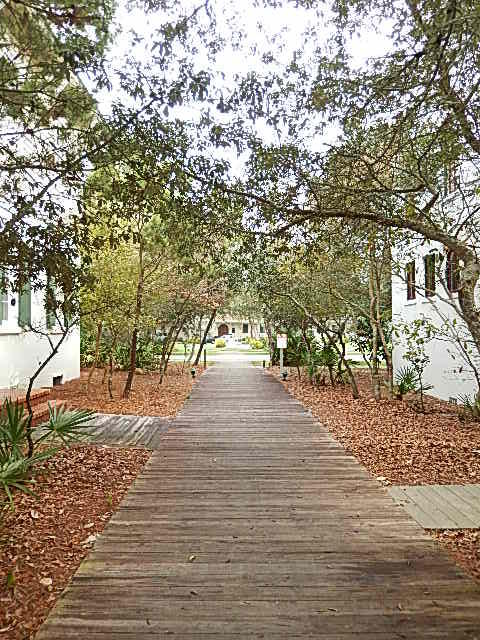 ROSEMARY - Residential