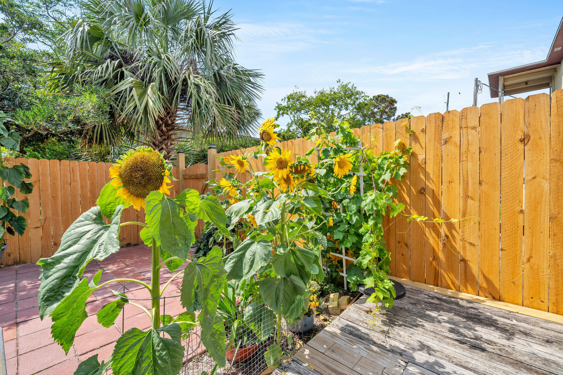 GULF WINDS CONDOS - Residential