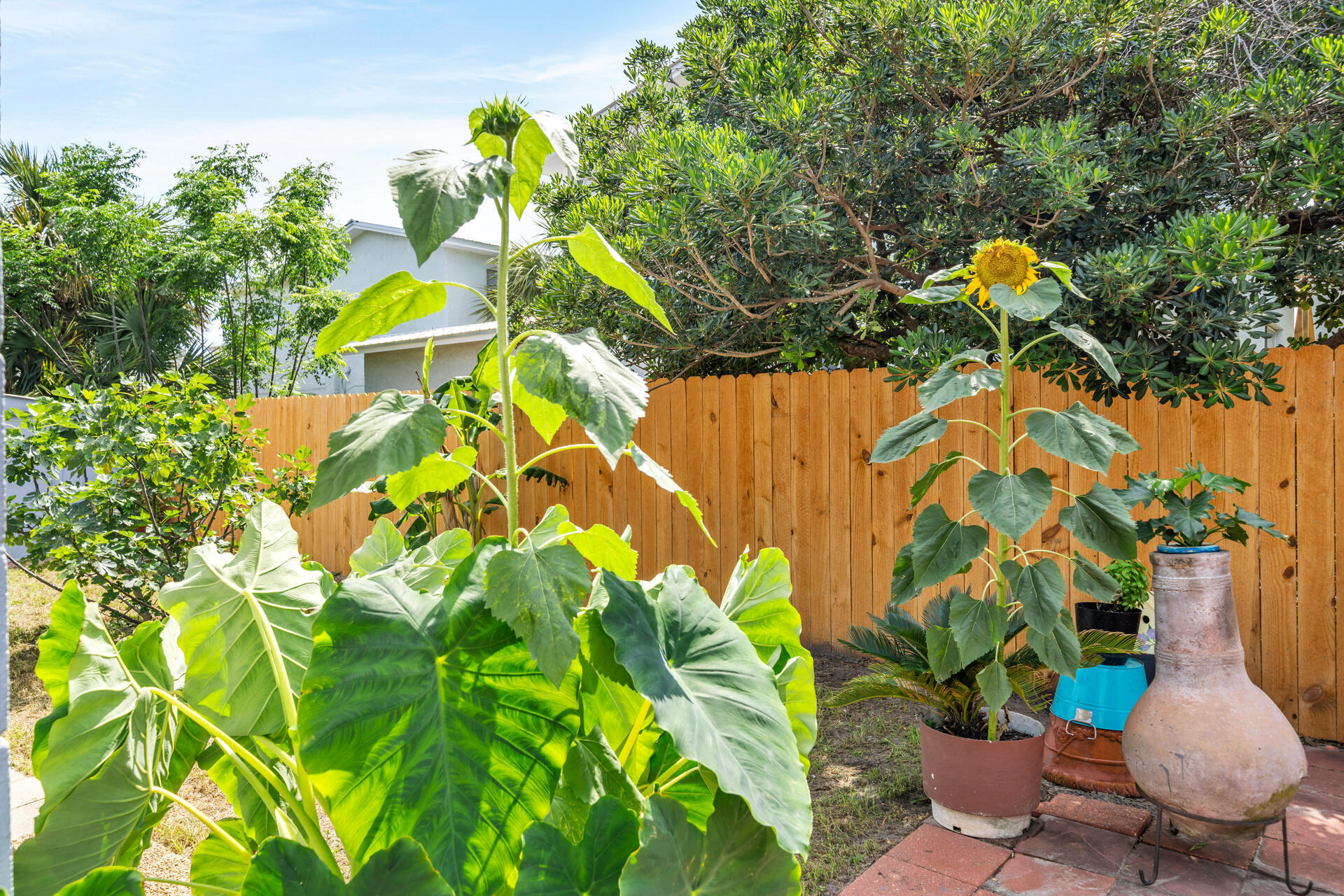 GULF WINDS CONDOS - Residential