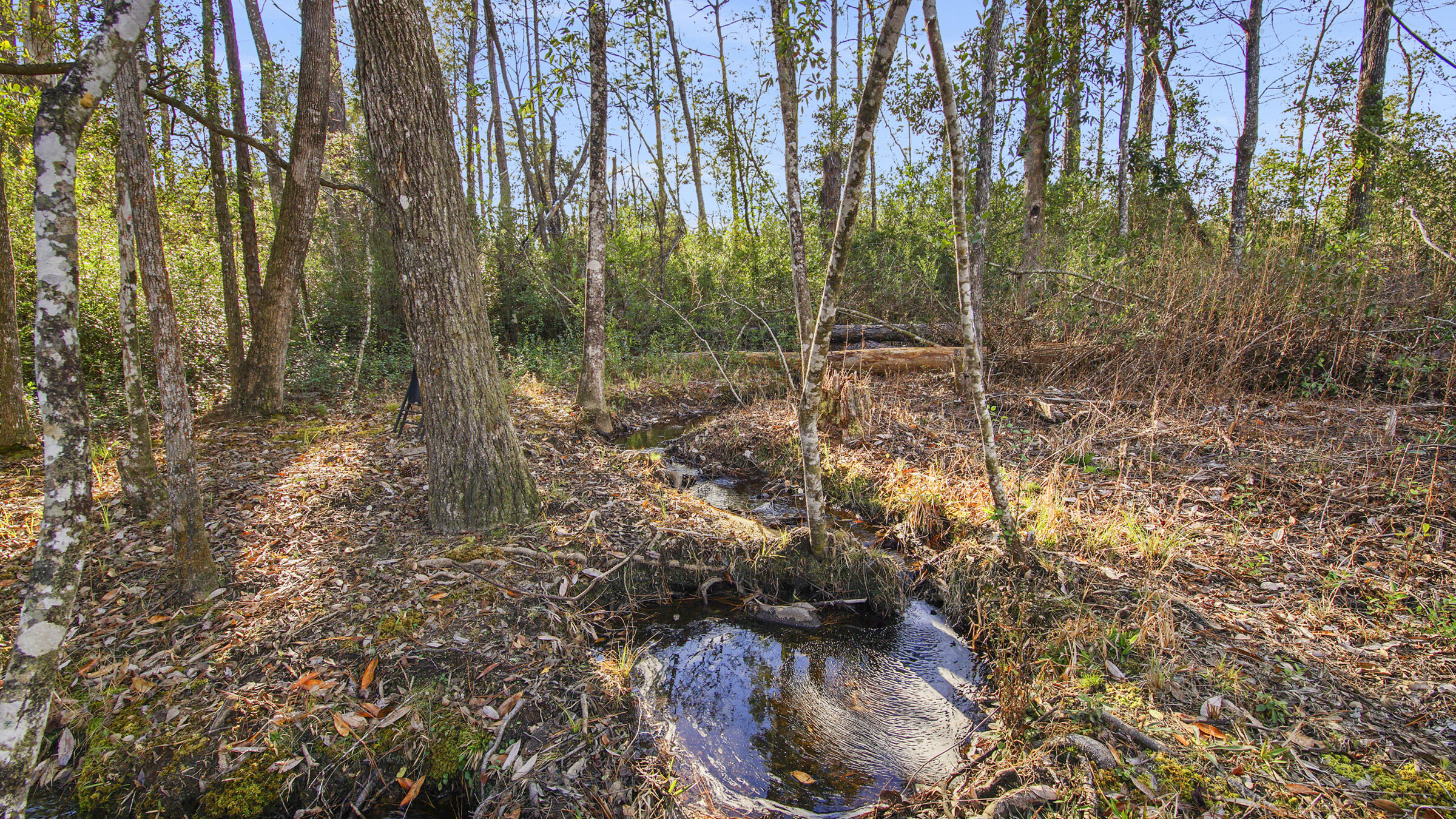 Compass Lake Hills Unit 4 - Residential