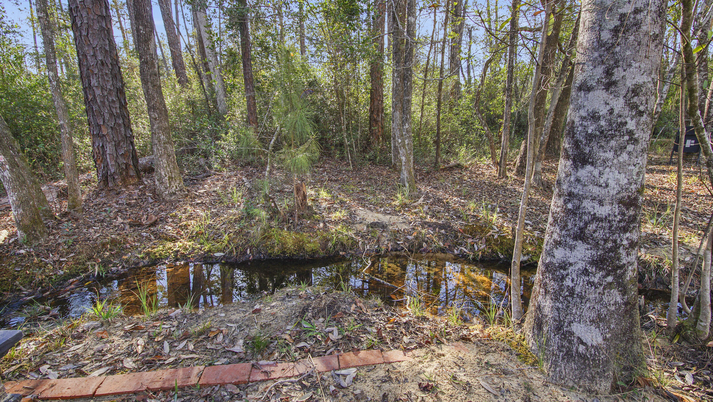 Compass Lake Hills Unit 4 - Residential