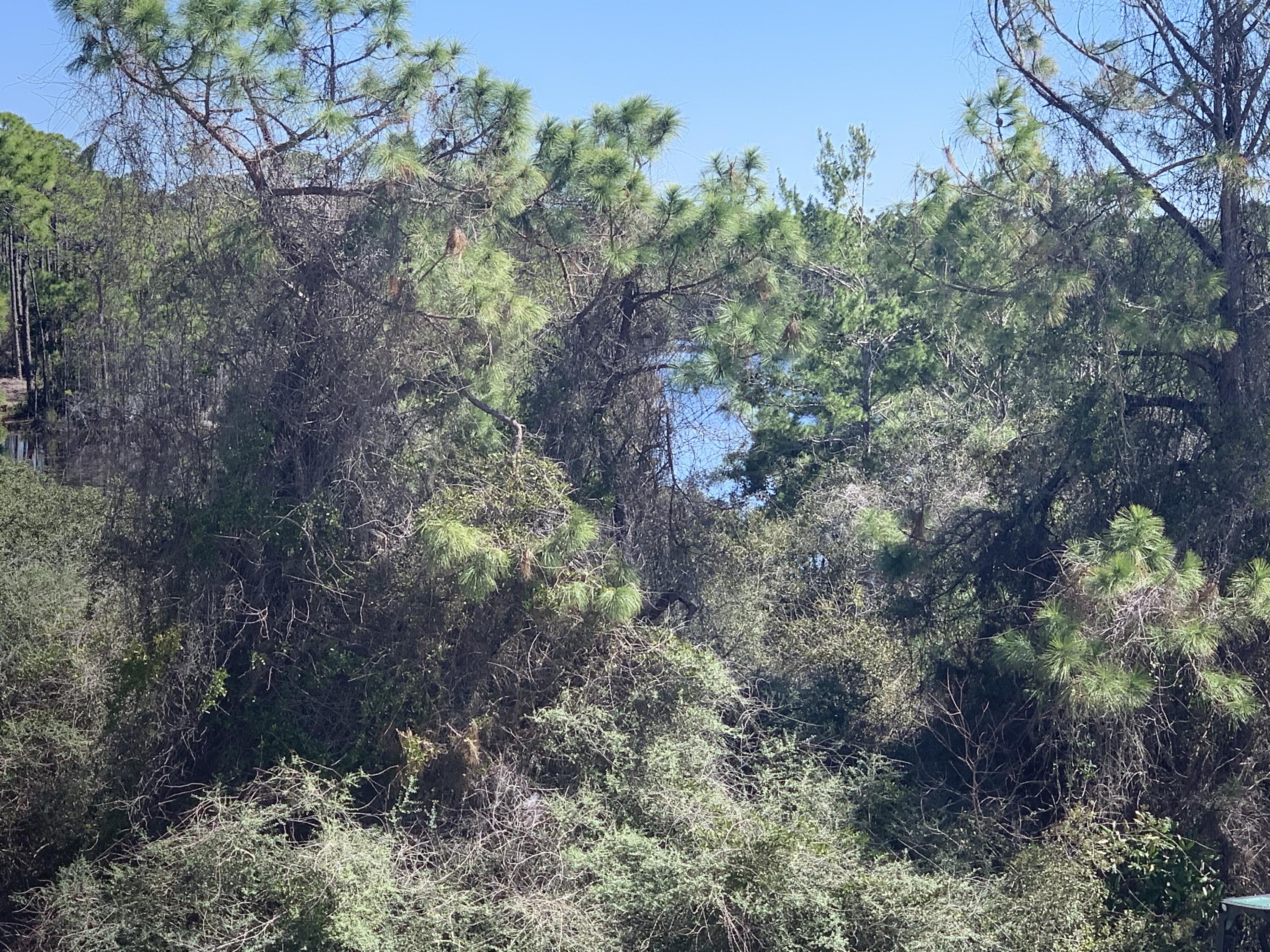 BEACHFRONT 2 PH 1 - Residential