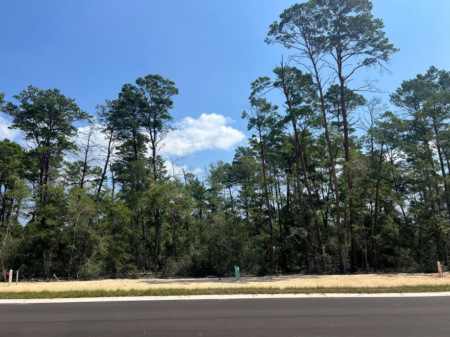 Spacious lot to build your dream home in the new DEER MOSS CREEK, Phase 11 on LOT 23..  Deer Moss Creek is a 1,100 acre, master plan , mixed use community in Niceville, Florida. Community plans includes a nature trail system, bike lanes, parks, pool, office and retail space under construction.  Sidewalks are 5' wide and home plans must be approved by the Town Architect.
