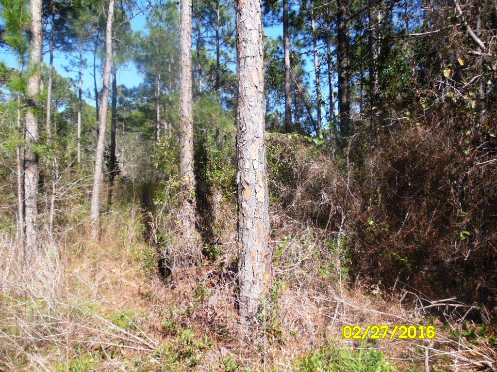 TOWN OF SANTA ROSA - Land