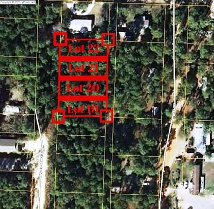 INVEST NOW! South Walton lot that according to Walton County does not have any wetlands. The lot is located at the end of a dead end road and is very private. This location is very close to both the Choctawhatchee Bay and the Gulf of Mexico! This is not a subdivision, so there are only County Restrictions. Mobile homes are allowed. Don't miss out on such a great deal!