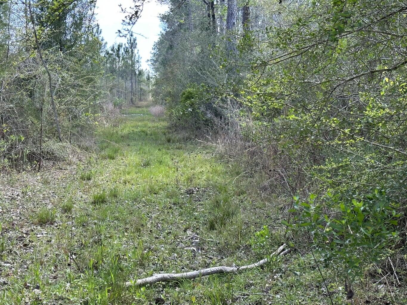 Tract#6416 Brock Road