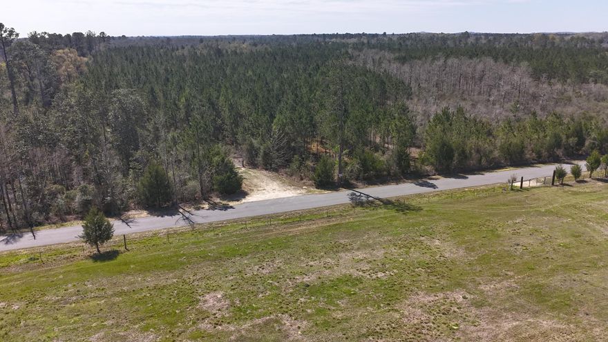 Dream Location for Country Living or Hunters Paradise either way you won't want to miss this opportunity! This Beautiful 142.86 +/- Acres of prime land has so much to offer, Power is available. Turkey season coming soon! Bring your build plans, hunting gear, Horses and ATVS LOCATION LOCATION!!!! This Property has Easy Access to Panama City Beaches I-10, Hwy 79, Hwy 81, and Hwy 90