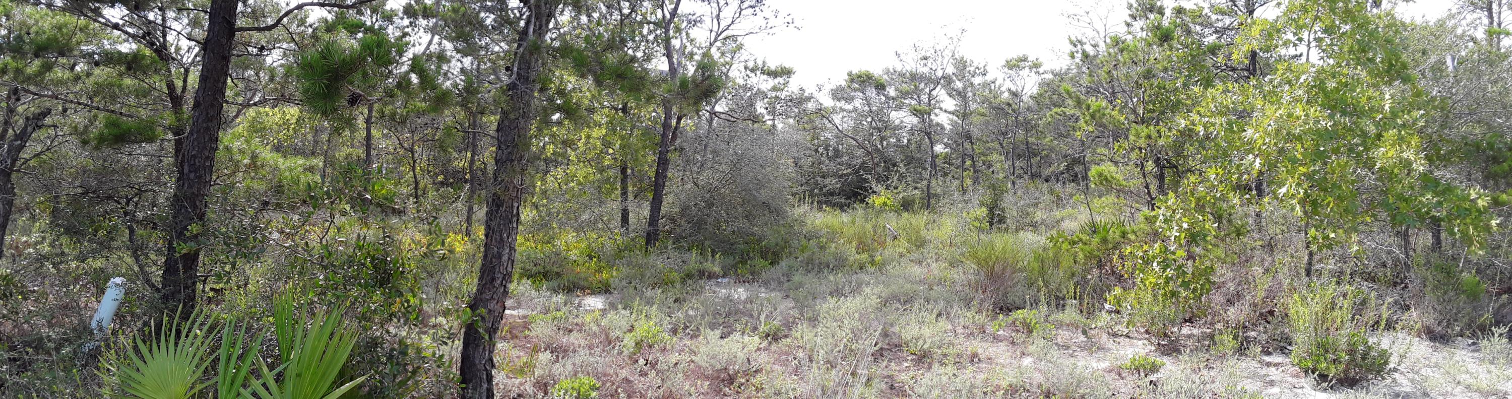 LA FONTAINE PHASE 1 - Land