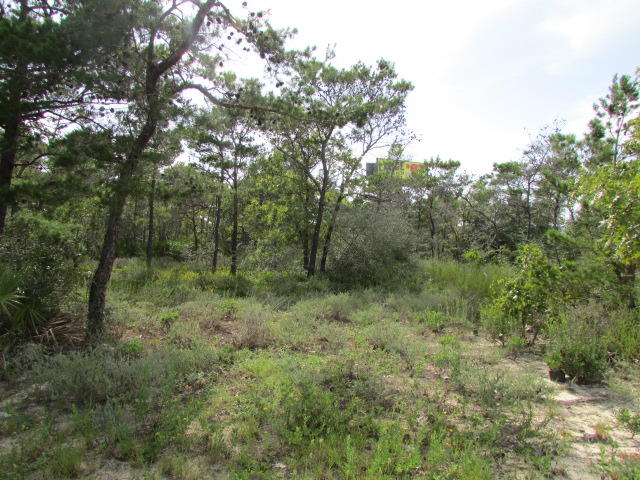 LA FONTAINE PHASE 1 - Land