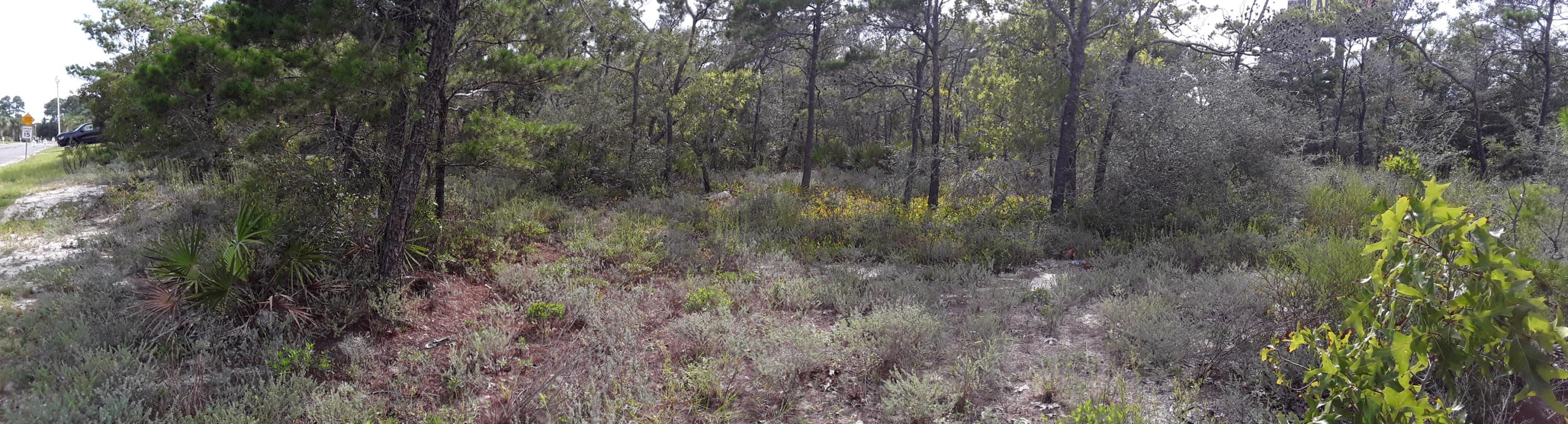 LA FONTAINE PHASE 1 - Land