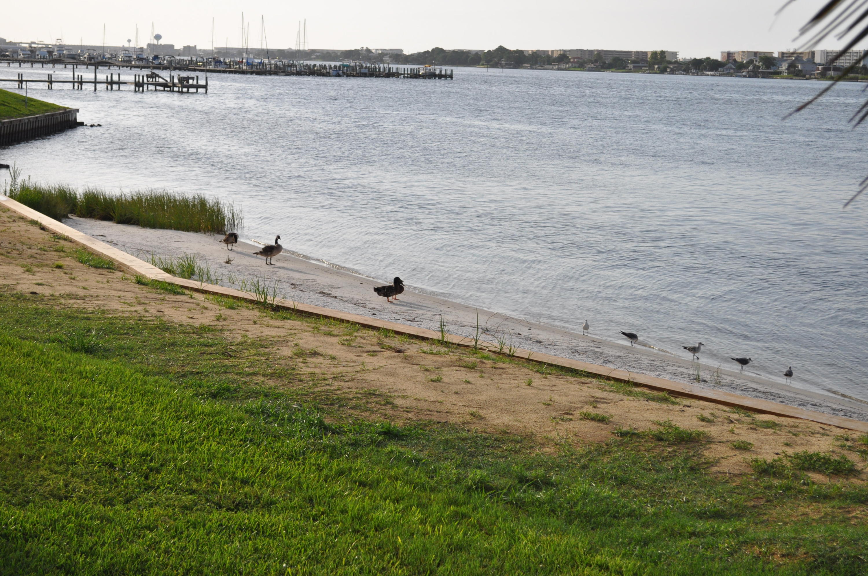 FOUNTAINHEAD CONDO - Residential