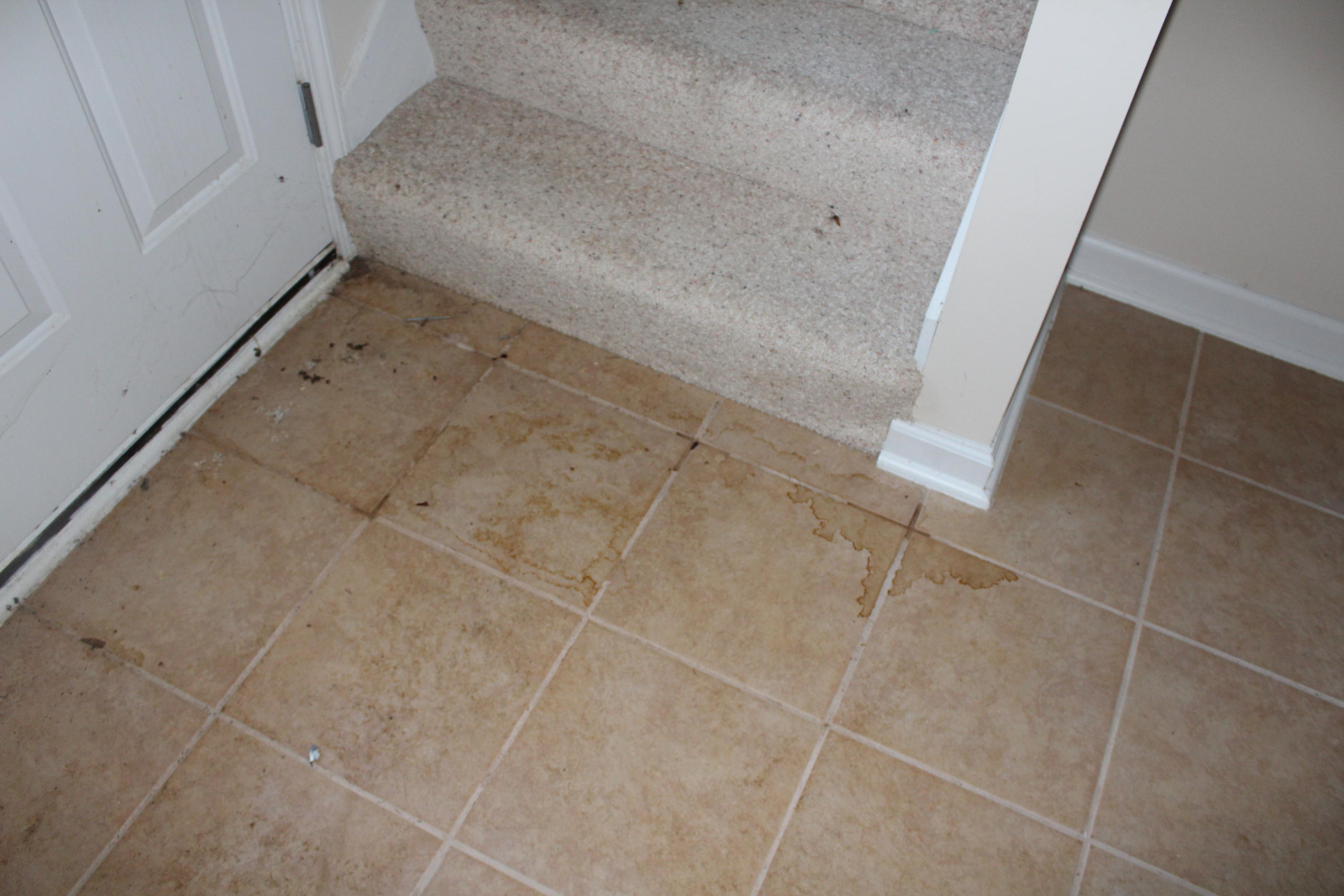 LAKE SILVER 1ST ADDN - Residential