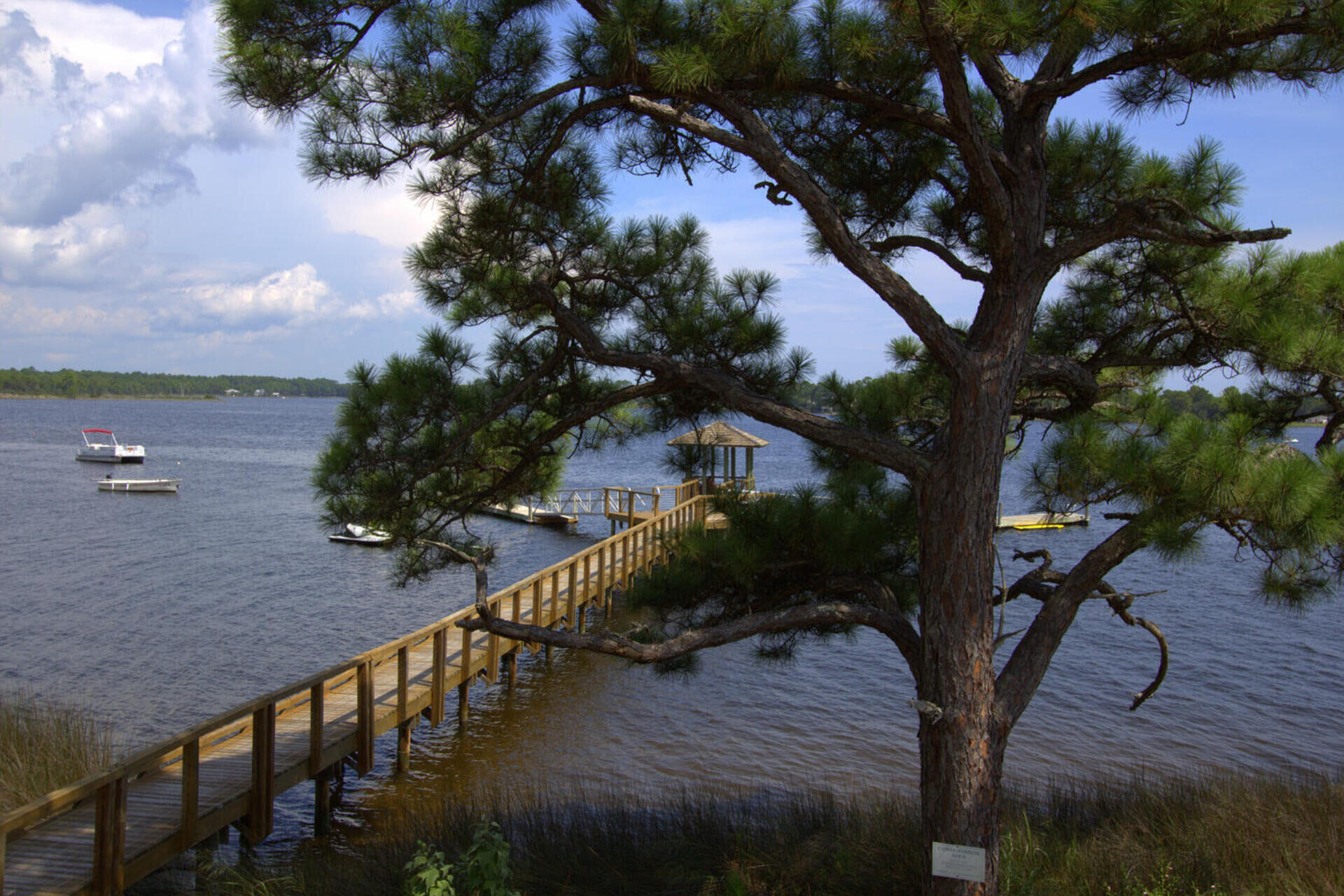 WILD HERON - Residential