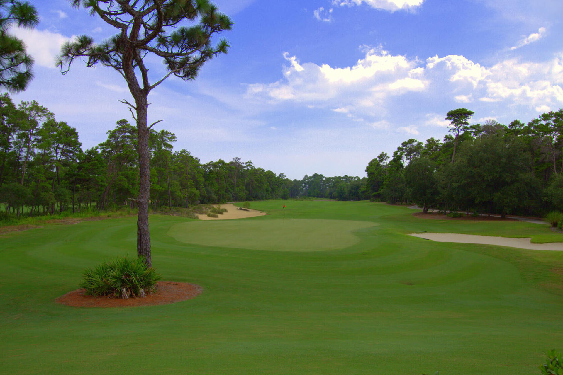 WILD HERON - Residential