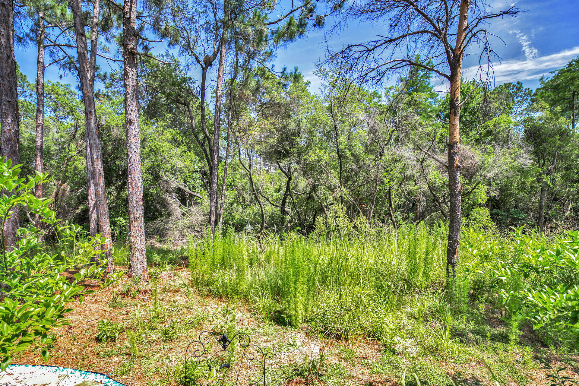 WILD HERON - Residential