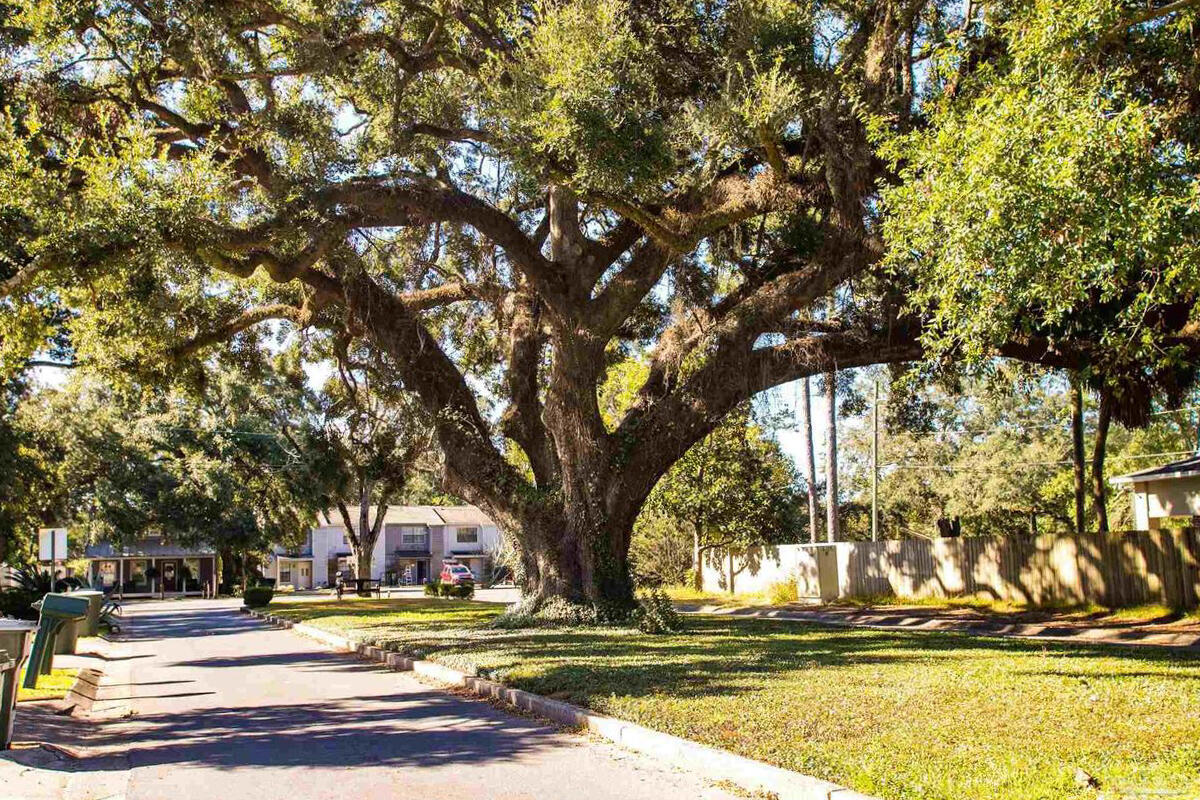 DOGWOOD TERRACE - Residential