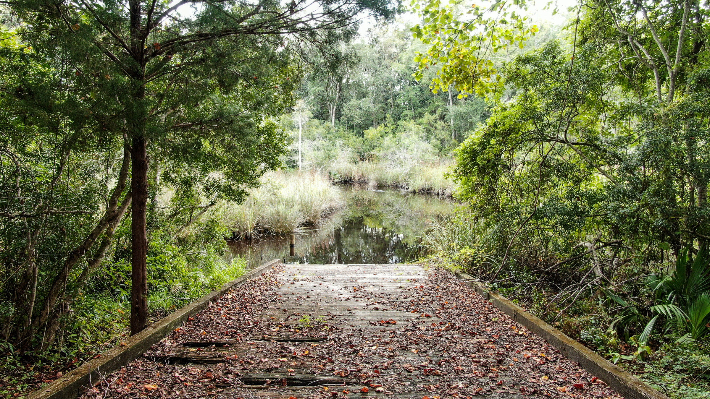 WATERVIEW COVE - Residential
