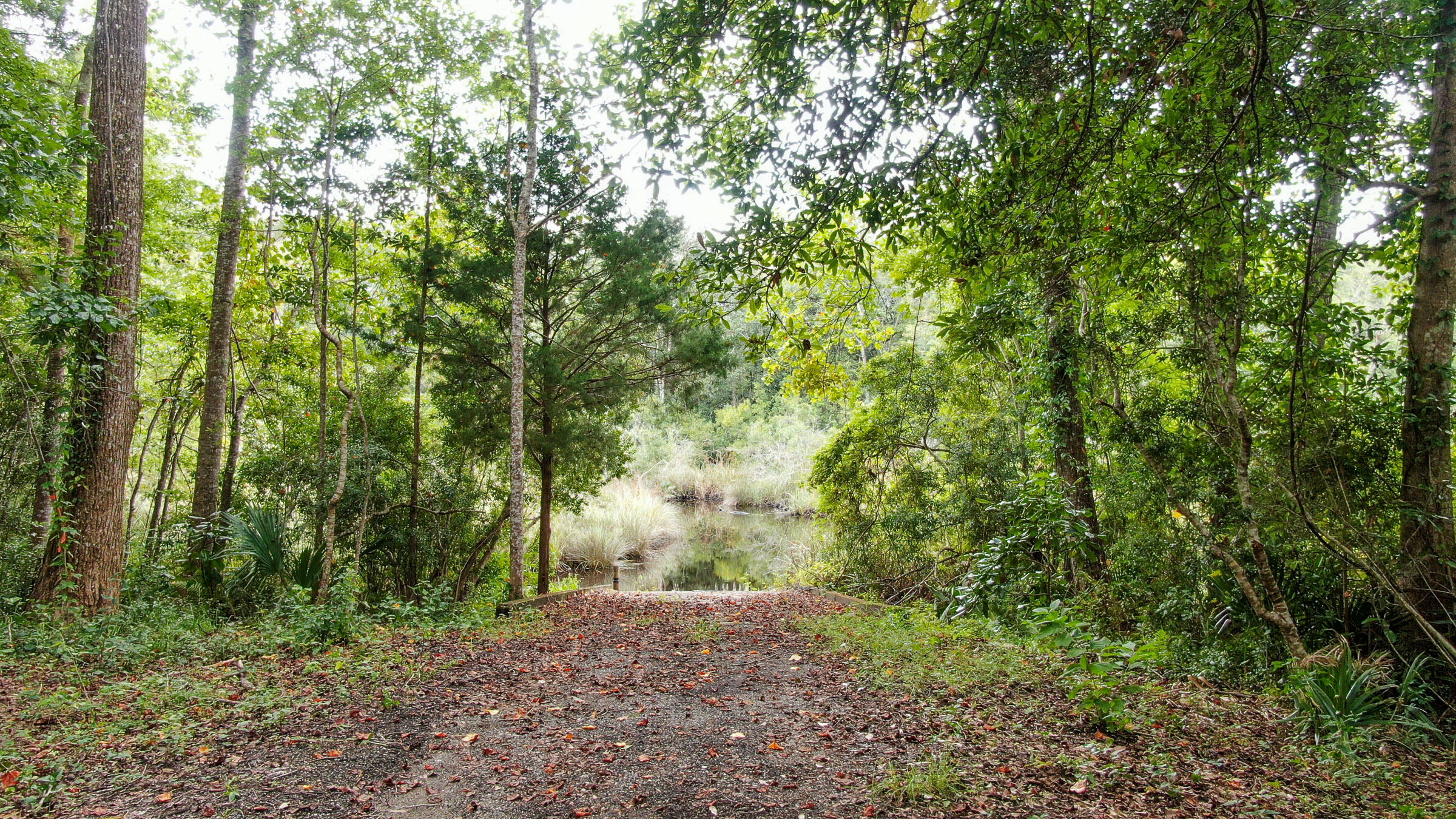 WATERVIEW COVE - Residential