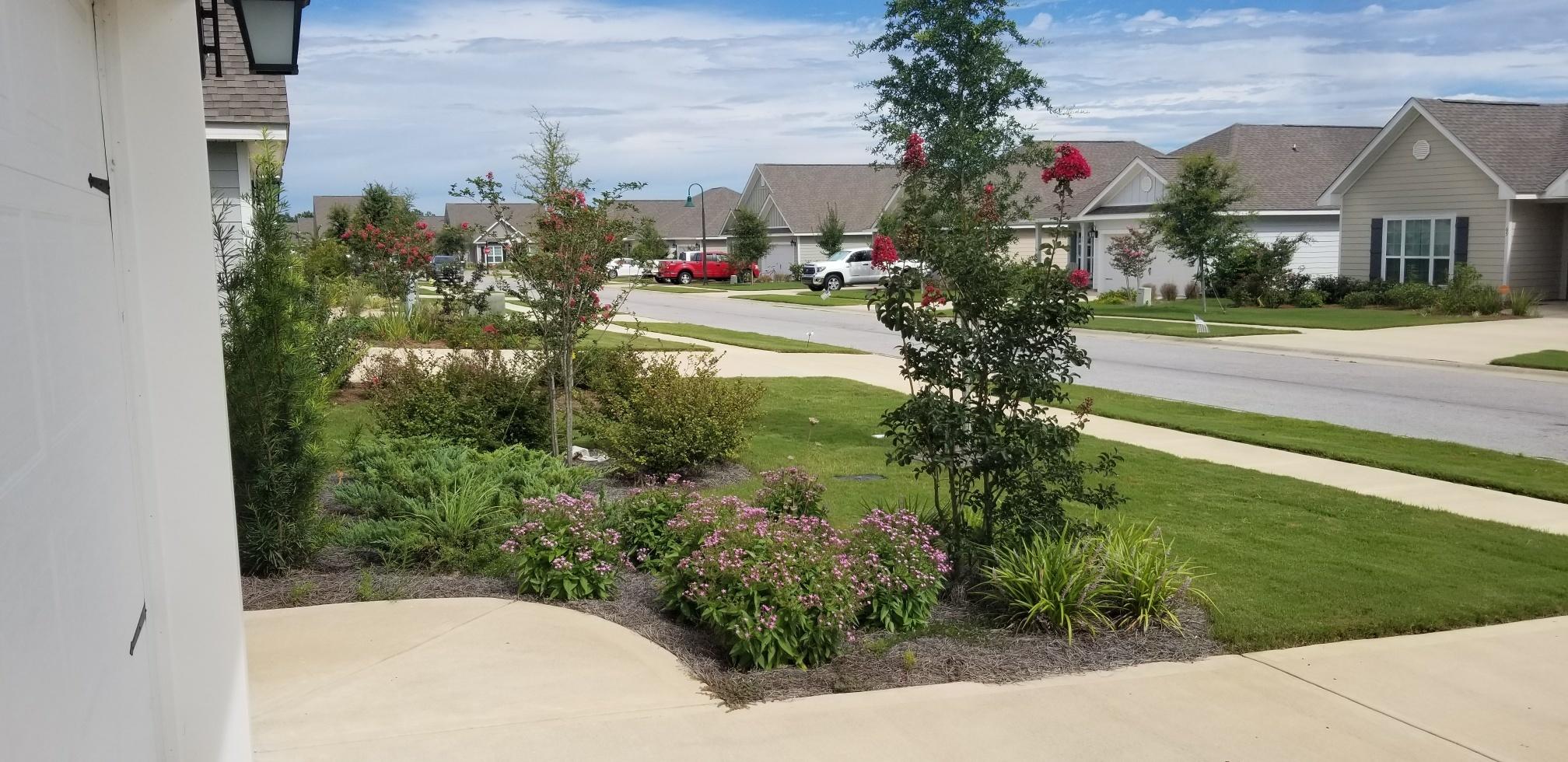 Hammock Bay - Residential