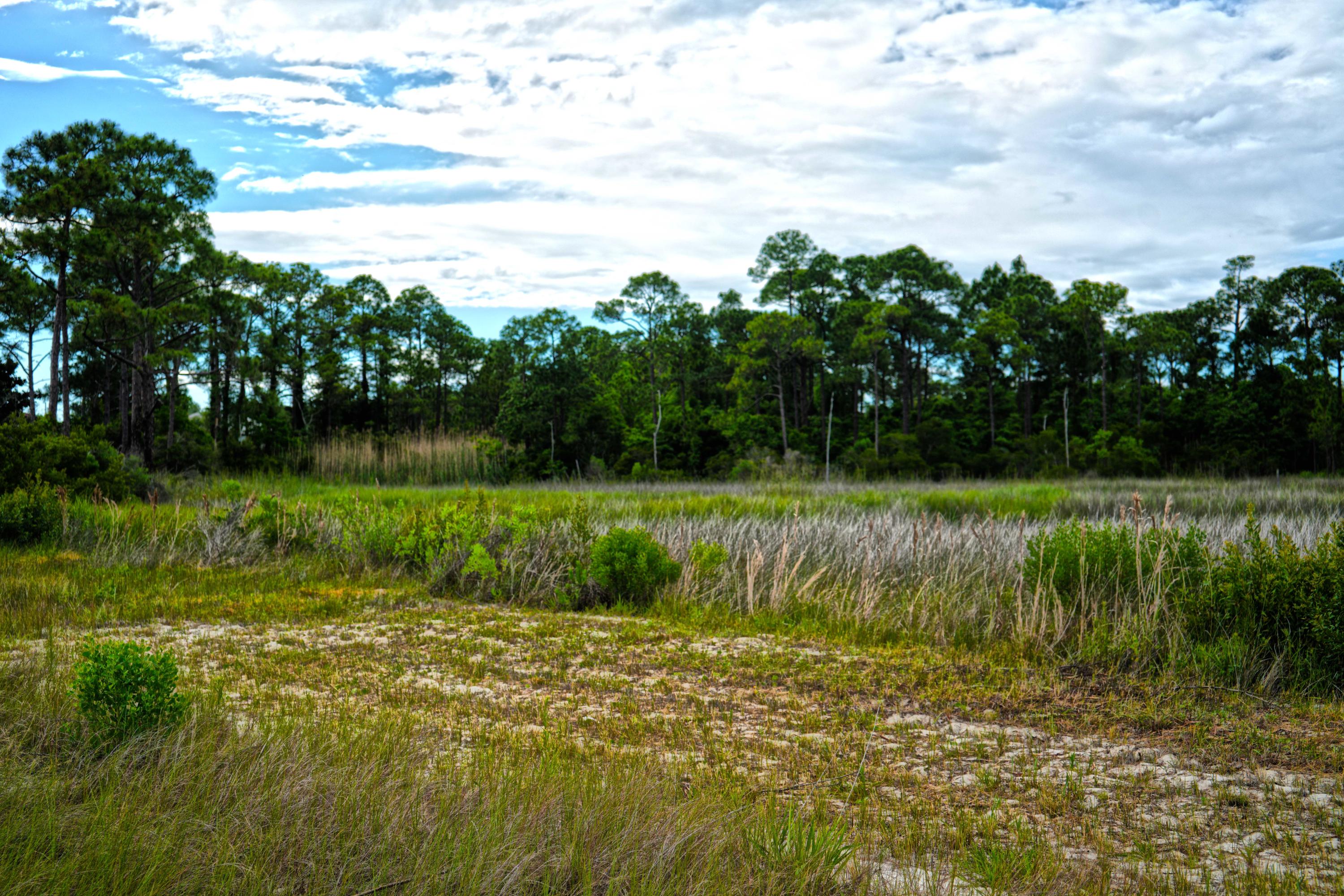 FOREST SHORES - Land