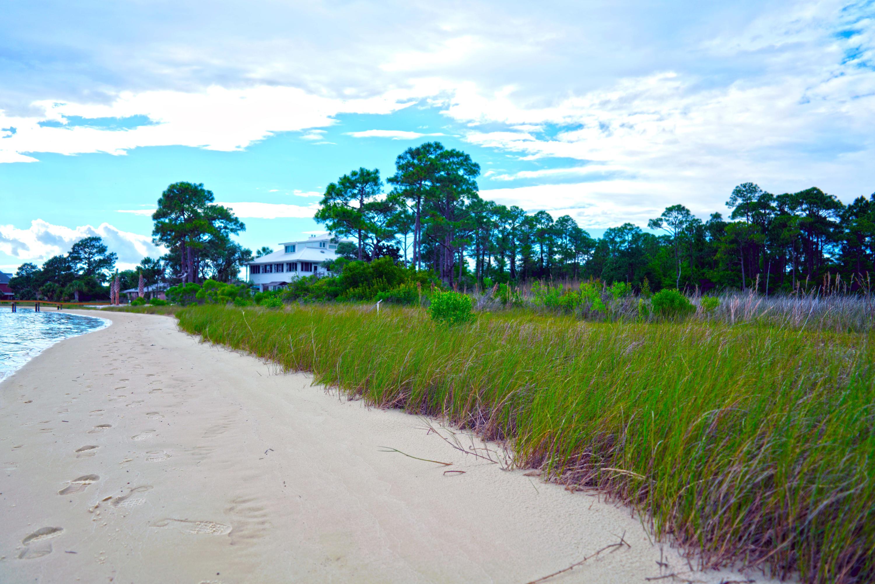 FOREST SHORES - Land