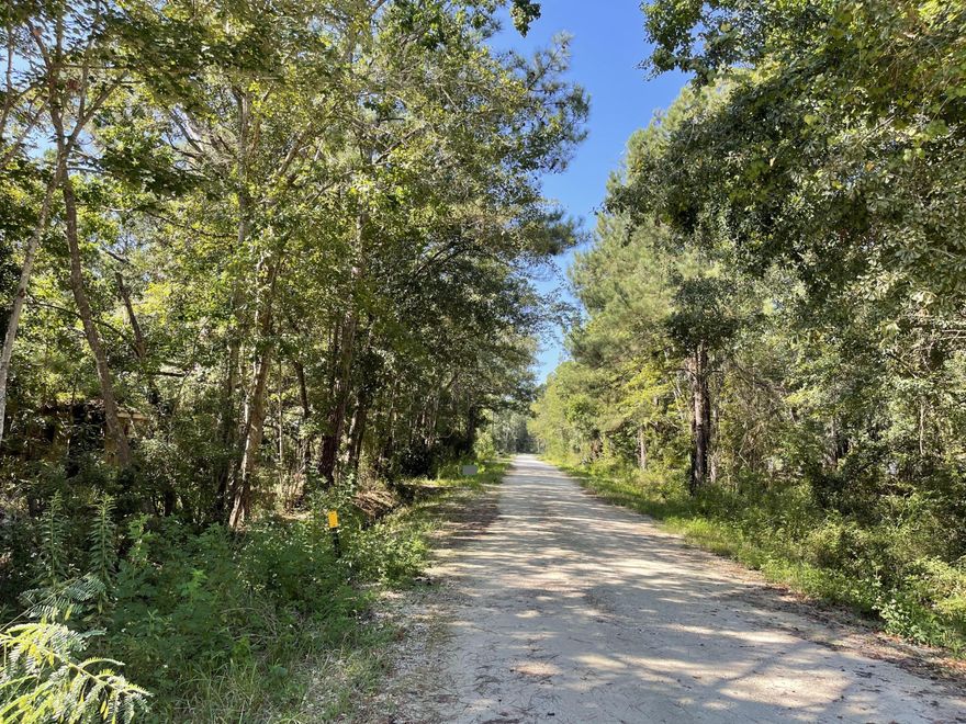 Location is key on this one folk!! Less than 3/4 of mile from Choctawhatchee Bay (331 Bridge) and just south of Freeport city limits.  No HOA. No Restrictions.  Mobile homes are allowed.  Property is Rural Village. Close to 30A with easy access to jump on US Hwy 331S (.9th of mile) and head to work or play!!  Utilities are already existing.  Old structure is a tear down, but worth it to get this beautifully wooded lot with fantastic location. This place is just waiting for you to bring life back to it!!  The Choctawhatchee Bay offers an abundance of fishing, boating and recreational opportunities!! Grady Brown Park is located 2 mins away on the north side of the bay at the Clyde B. Wells Bridge on US Hwy 331. The features offered by this park are: Sandy Beach along the Choctawhatchee Bay, 2 Boat Ramps & 3 Finger Piers, Handicapped Accessible Kayak Launch, picnic Tables & Grills, Boat Washdown Station, Boat Trailer Parking Area.  And if that is not enough, you can travel to the south side of the bridge to enjoy Thomas Pilcher Park.  It's like having amenities for your lot...best part you don't have to pay for them!!
Did I mention that you are less than 10 minutes to the spectacular white sandy beaches of Florida's Emerald Gulf Coast?  Well for you beach lovers..that's absolutely the best part!!  

Shopping convenience all around. This parcel is approx. 5 minutes from Publix, gas stations, banks and restaurants, etc.  You are centrally located between Destin and Panama City Beach Florida. (approx.. 40 minutes from each) where there is an abundance of shopping, amazing restaurants, and lots of amazing beach accesses along the way where once can enjoy sunrises and sunsets.

Property appears to be in Flood Zone X.  Does Not appear to have Wetlands per the Walton County GIS mapping.  The owner has provided a building plan that may be of interest to show what can be done with the property.  The plans designs are available, but no permitting, etc has been done at this time.  Survey is available.

Please DO NOT enter the old structure.  It is not safe!! 

It is the buyer's responsibility to verify all matters related to zoning, flood zone, wetlands and all matters of importance.  

More photos to come!!
