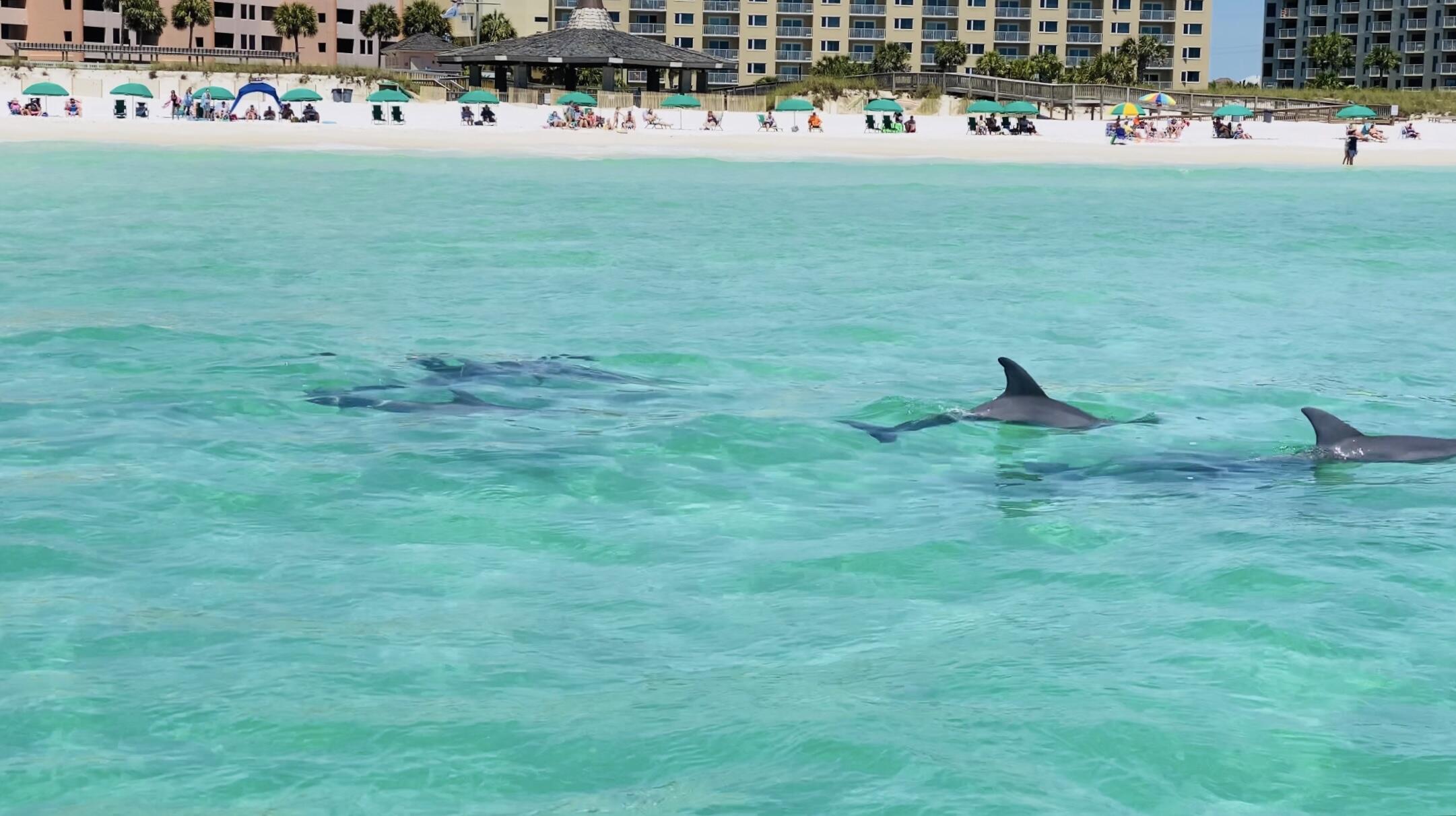 JETTY EAST CONDO - Residential