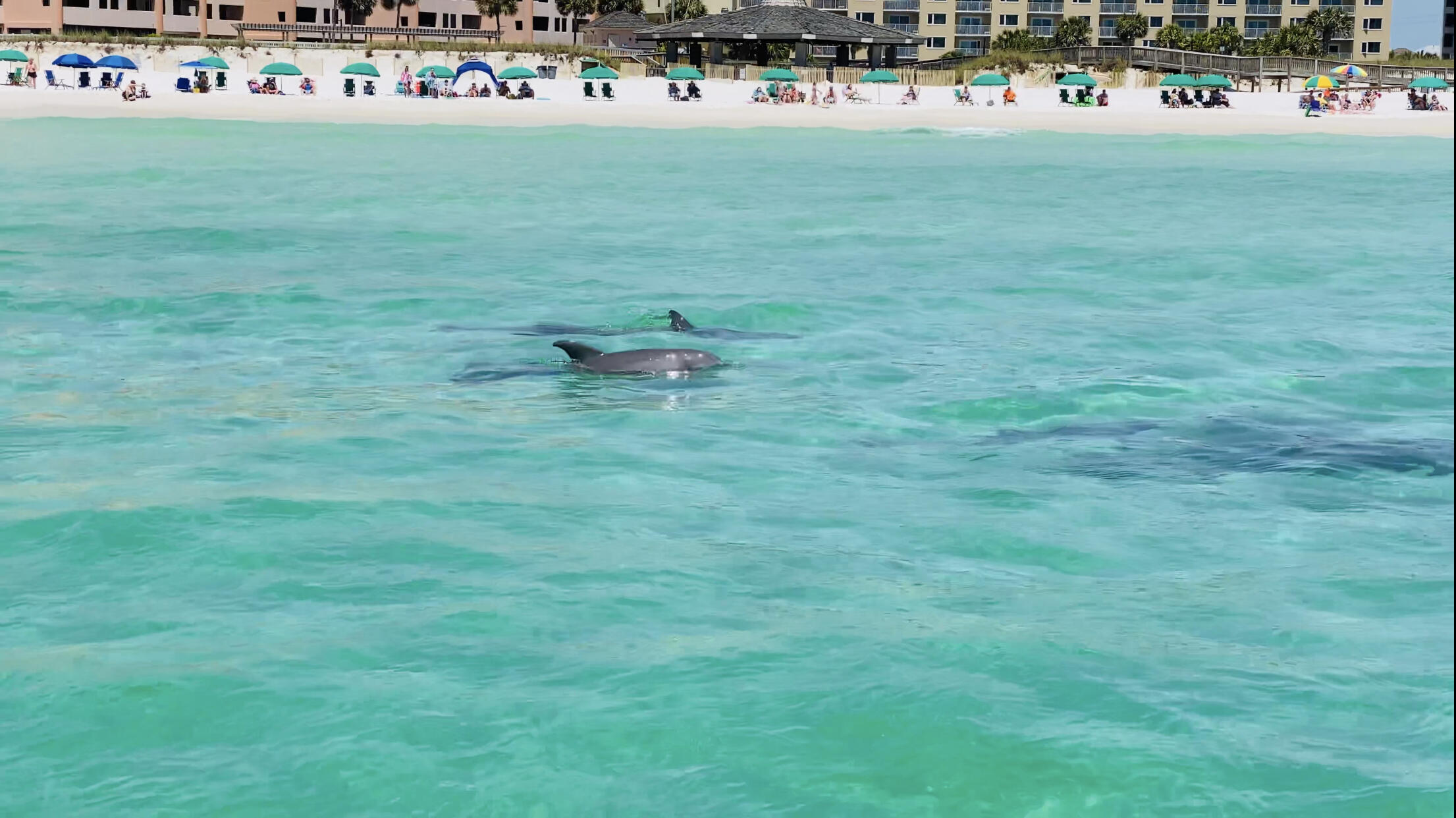 JETTY EAST CONDO - Residential