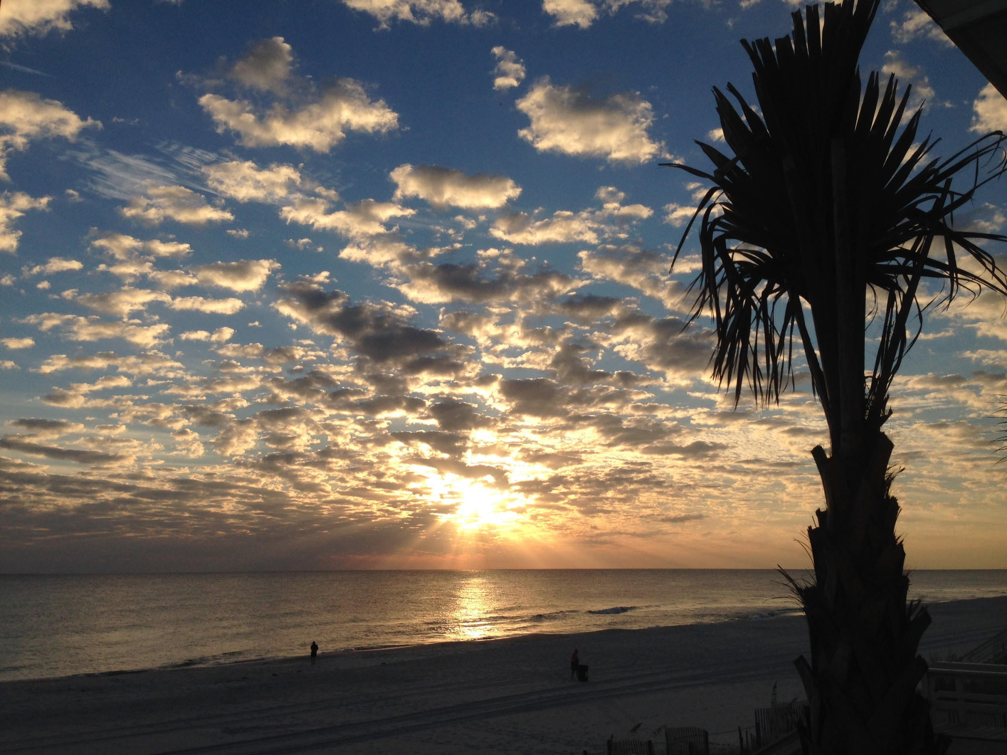 LAGUNA BEACH - Residential
