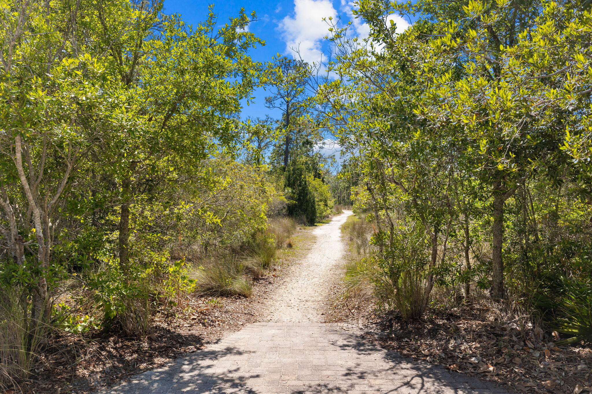 NATUREWALK AT SEAGROVE - Residential