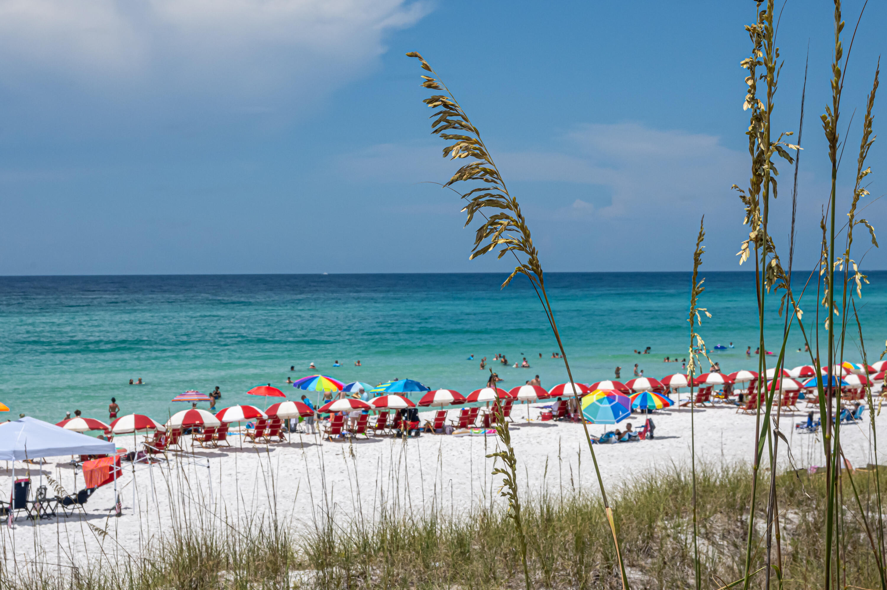 MIRAMAR PALMS - Residential