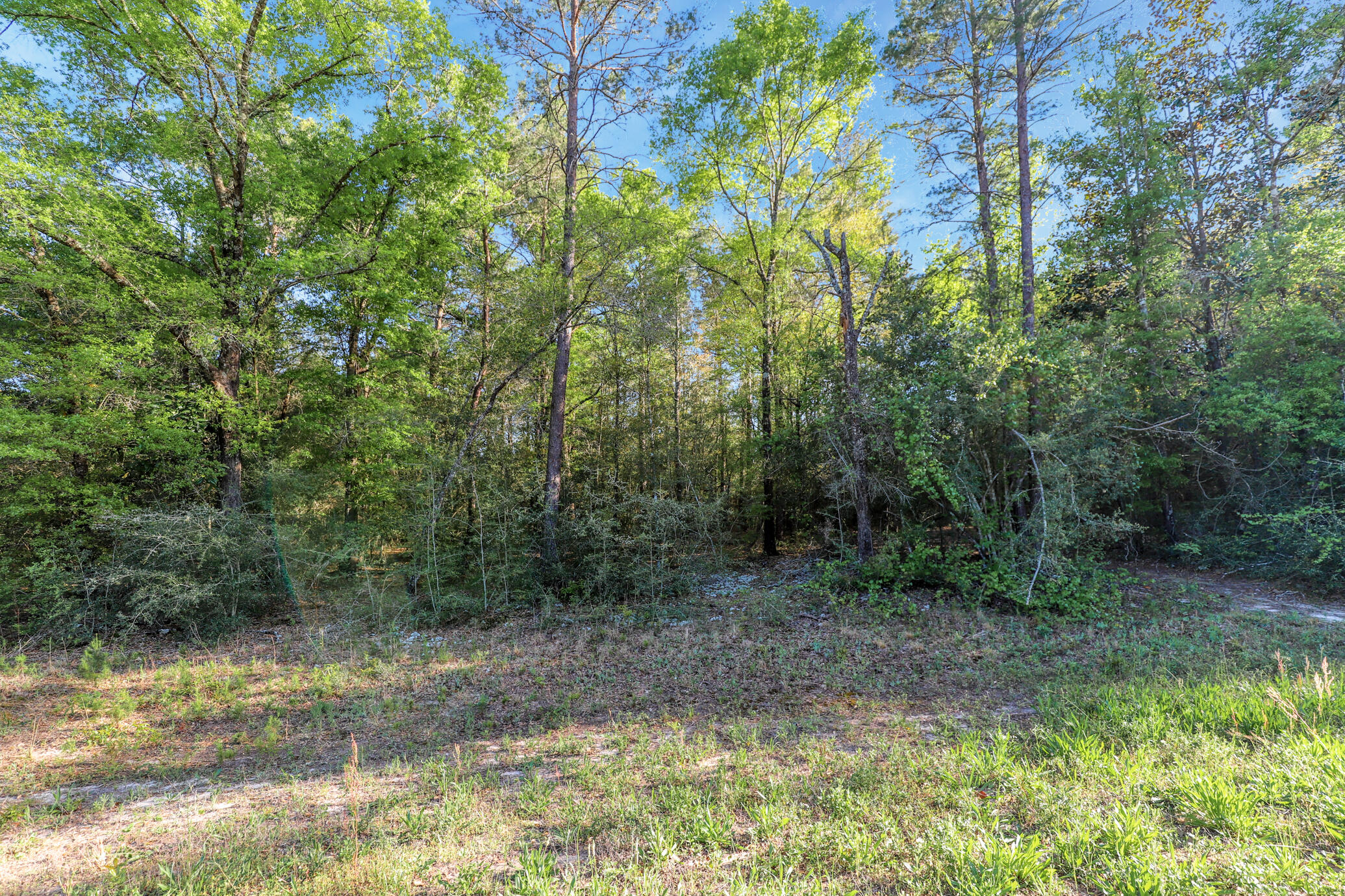 OAKWOOD HILLS UNIT THREE - Land